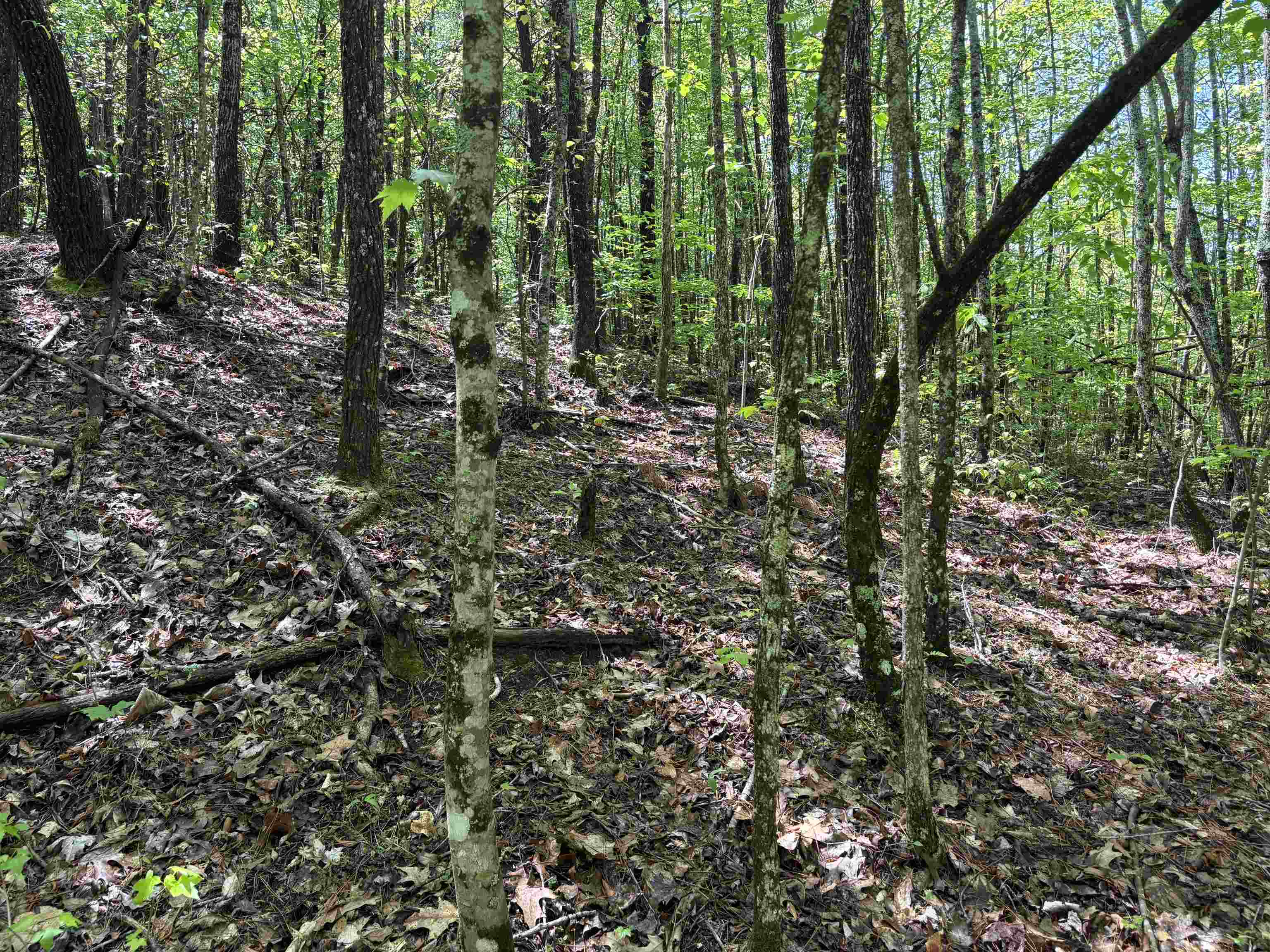 1940 Pleasant Hill Rd.  Lot 3-b Rd, Greer, South Carolina image 4