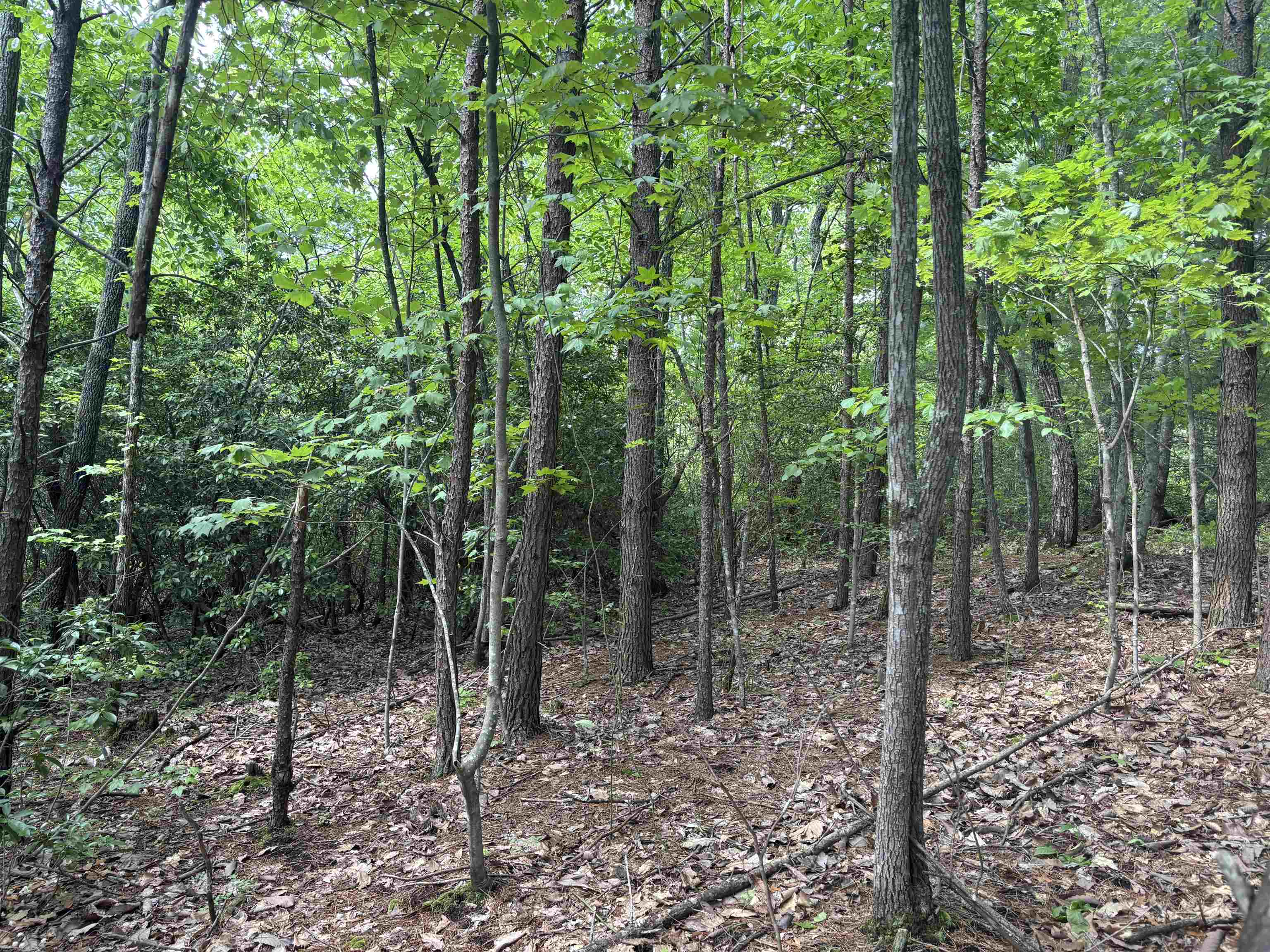 275 Upper Beaver Creek, Moore, South Carolina image 14