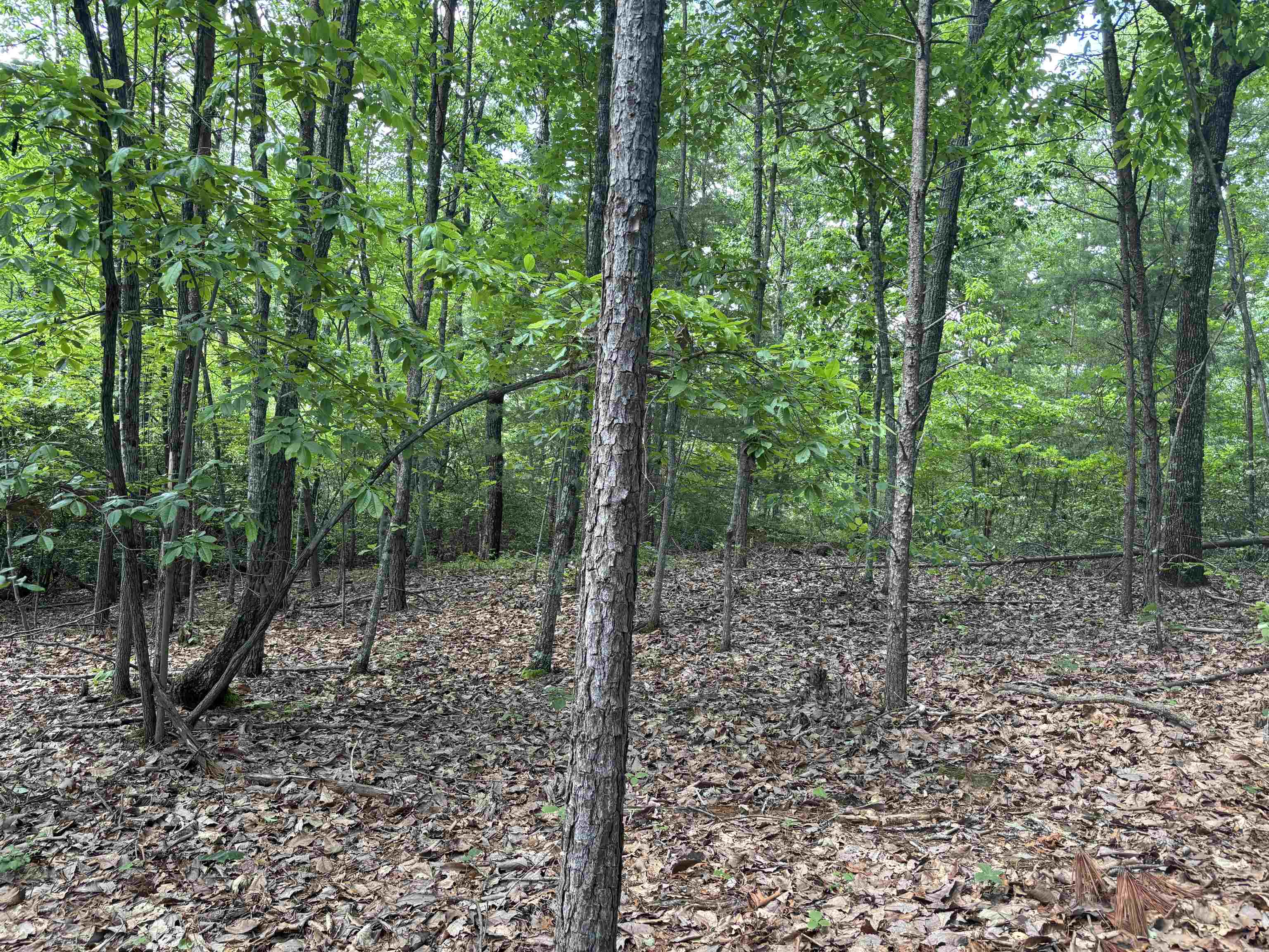 275 Upper Beaver Creek, Moore, South Carolina image 10