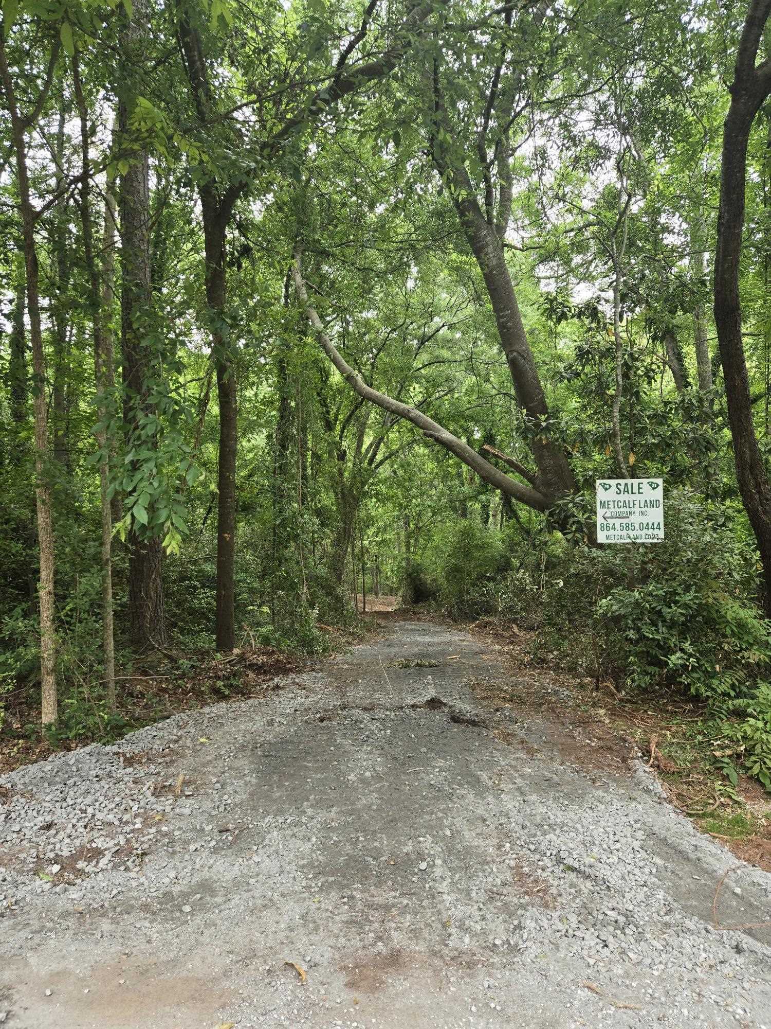 Pepper Street, Central, South Carolina image 8