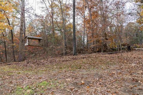 A home in Landrum