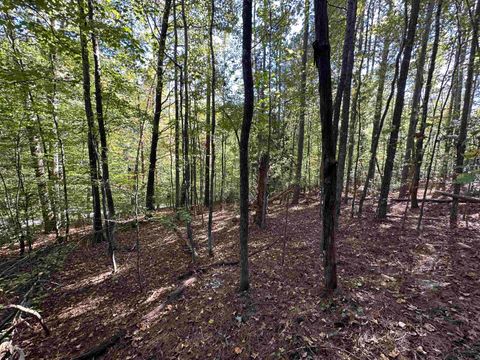Vacant Land For Sale - 00 Hammett Grove Road<br/> Cherokee County, Spartanburg, SC 29307