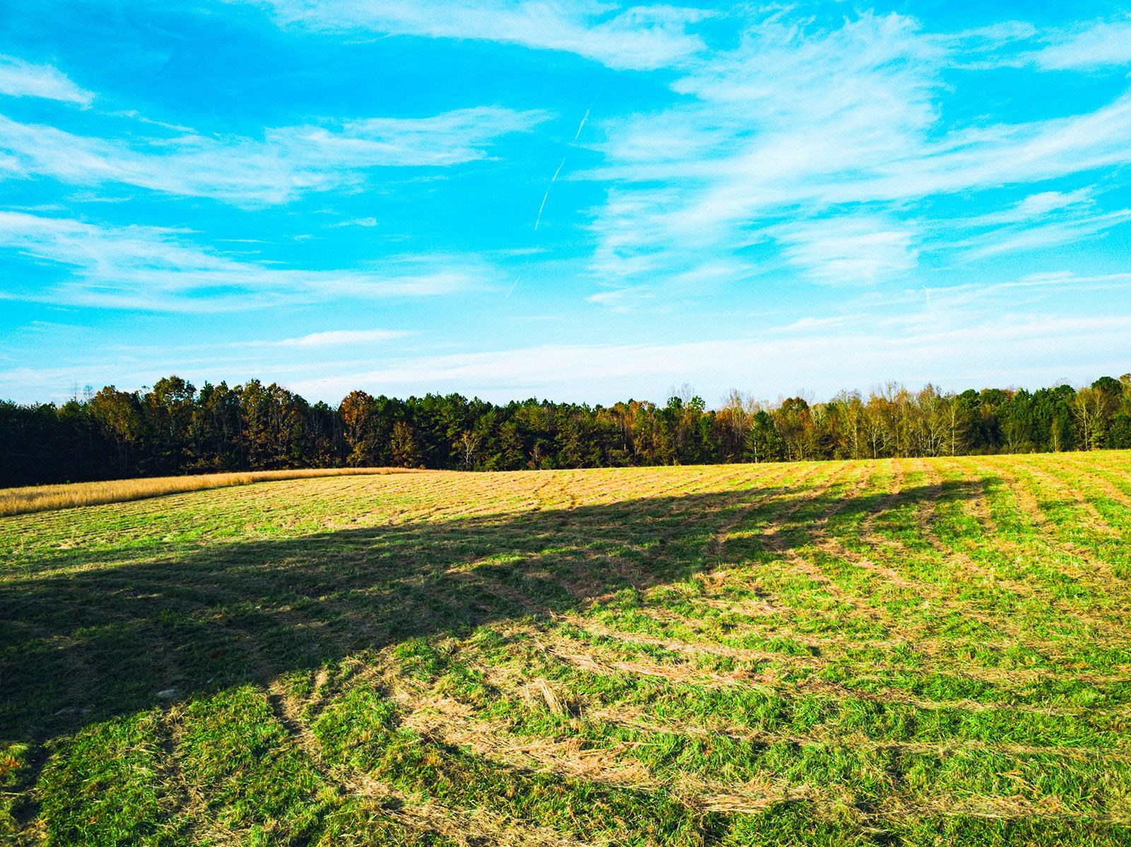 377 Mckowns Mountain Road, gaffney, South Carolina image 15