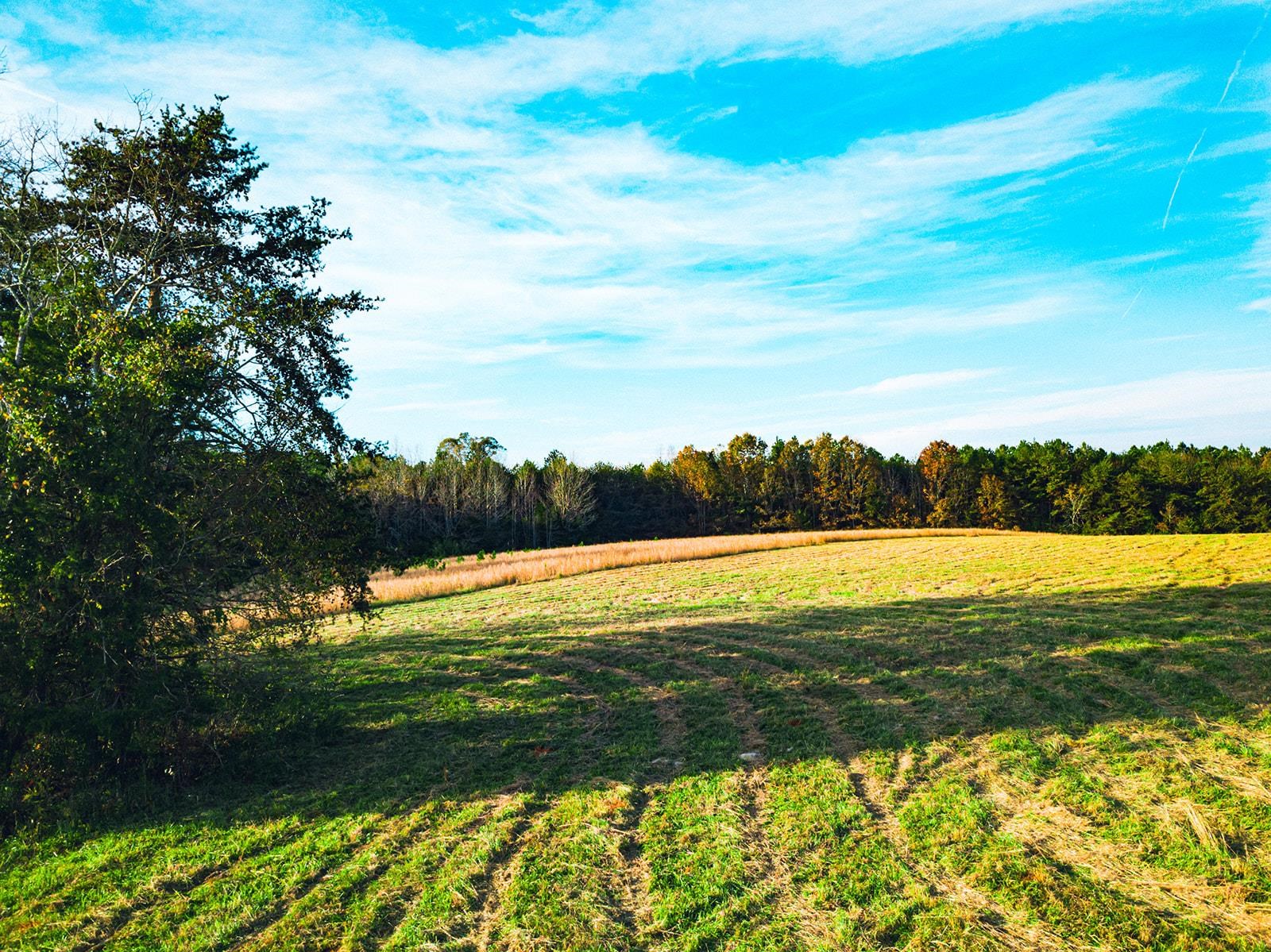 377 Mckowns Mountain Road, gaffney, South Carolina image 14