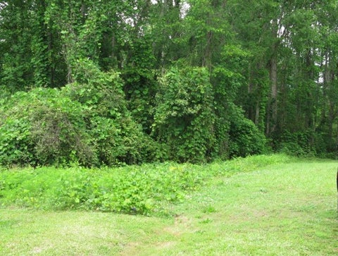 Photo for 0 Deerfield Dr ***