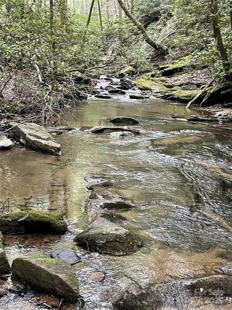 Vacant Land For Sale - Green Creek Drive<br/> Tryon, NC 28782