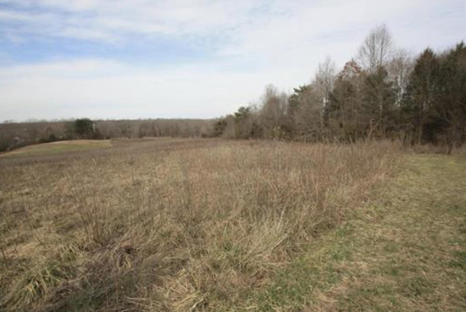 Grassy Pond Creek Road, Gaffney, South Carolina image 1