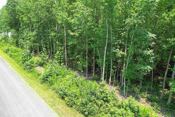 BYARS FARM RD, GAFFNEY, SC 29341 - Image e42c1784a7ffcb97feded9d642b01dcc/3810916838