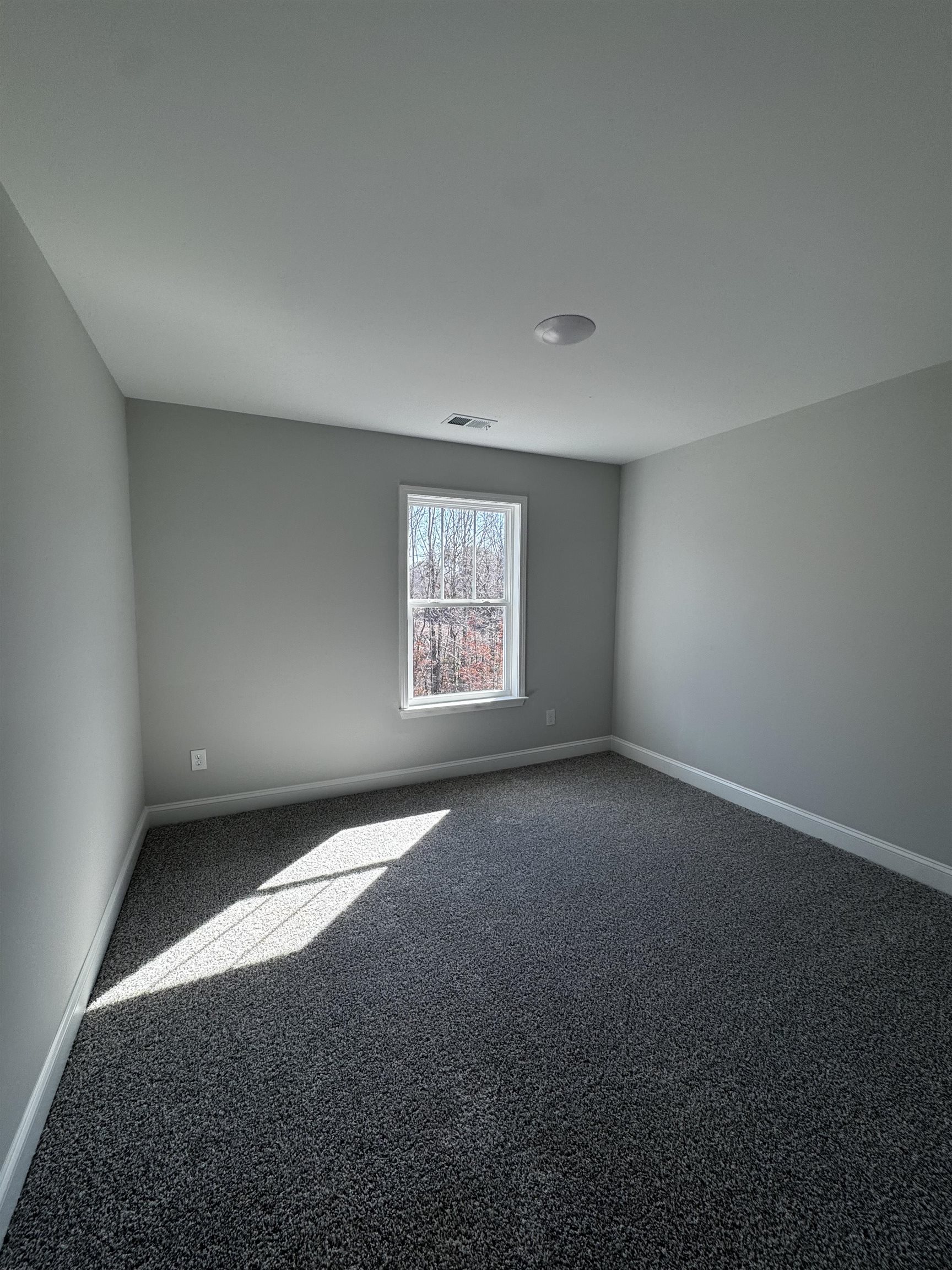 532 Landseer Drive, Landrum, South Carolina image 14