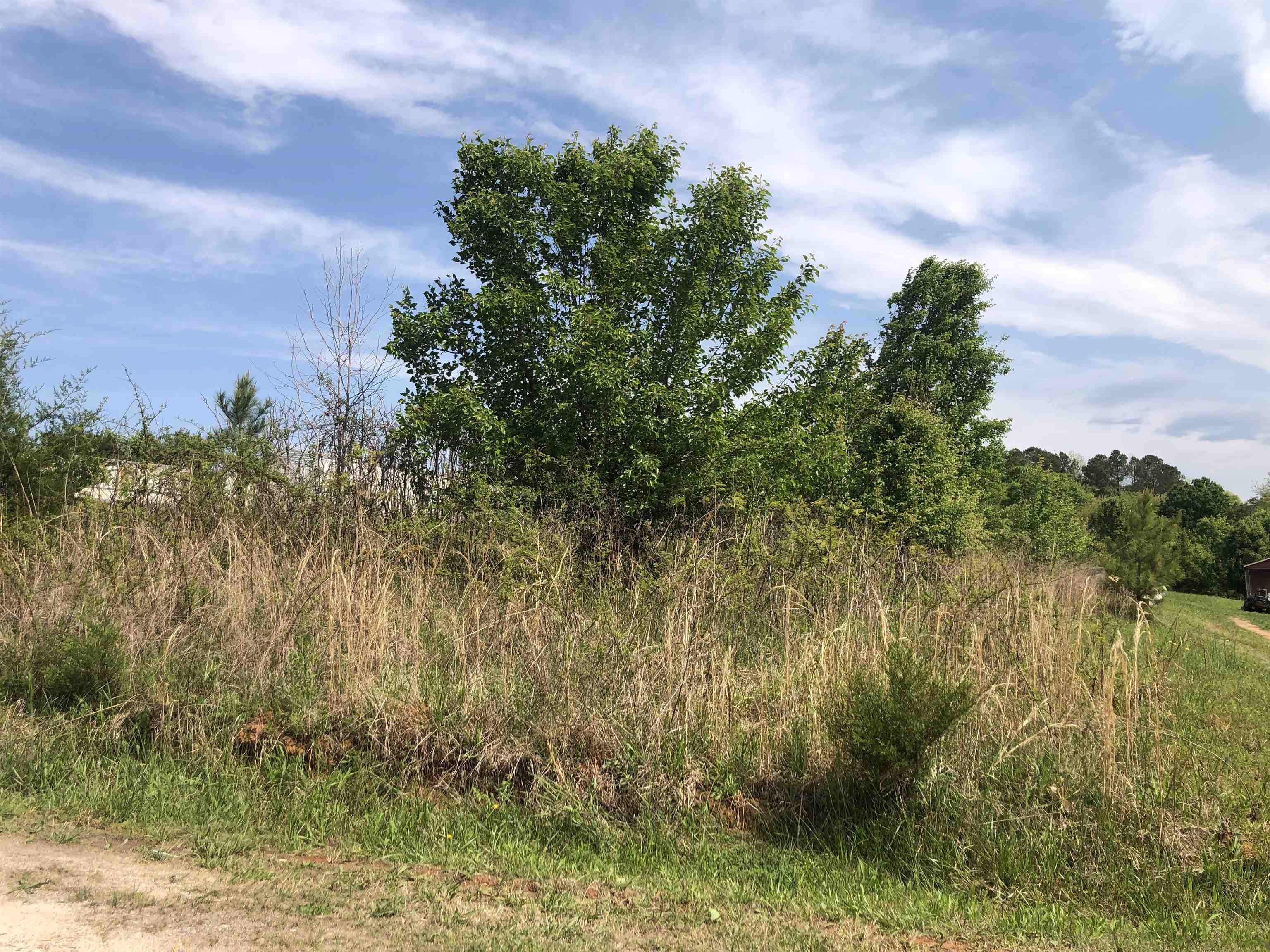 Jamyn Lot 6 Court, Cowpens, South Carolina image 2