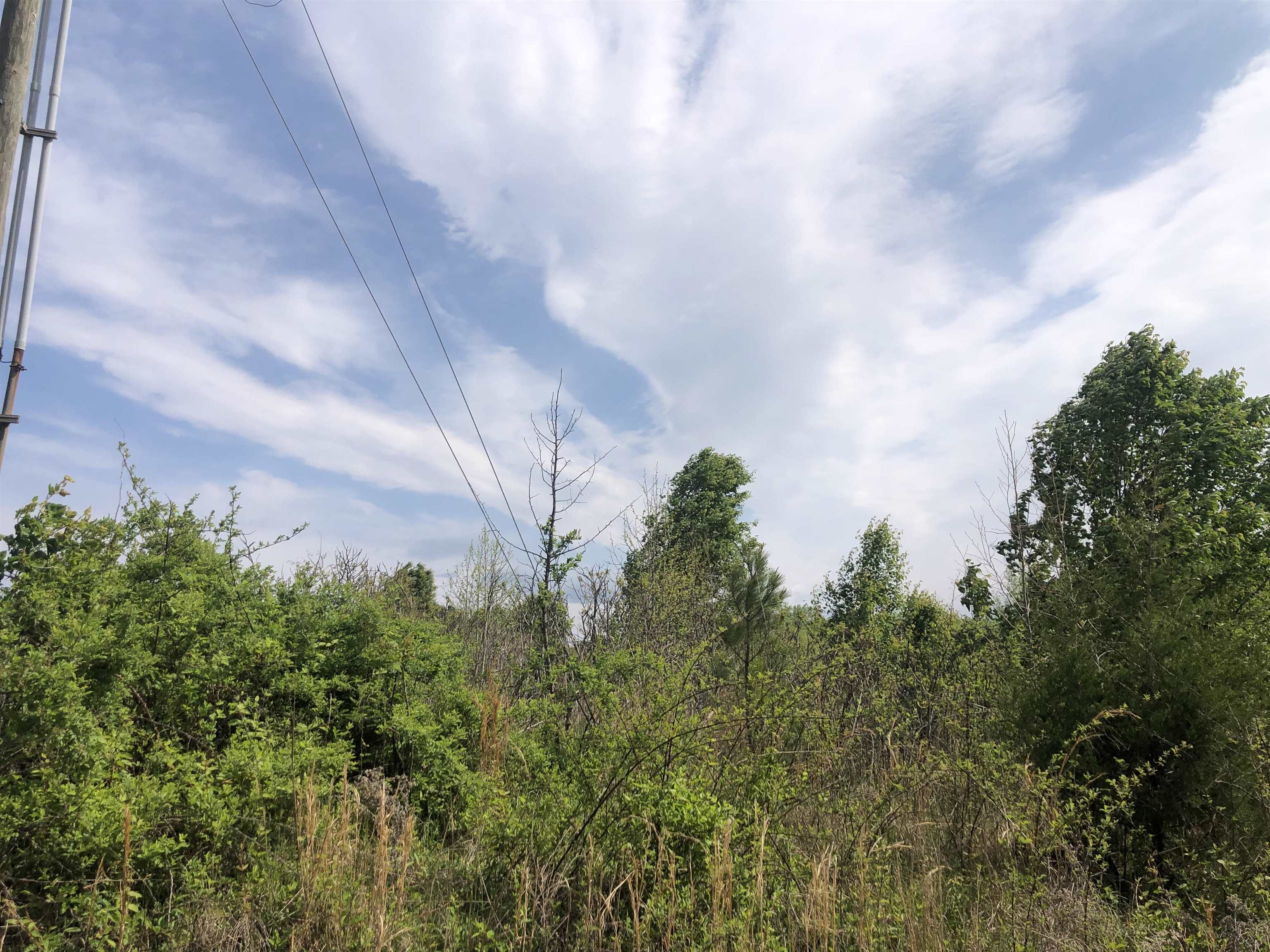 Jamyn Lot 6 Court, Cowpens, South Carolina image 1