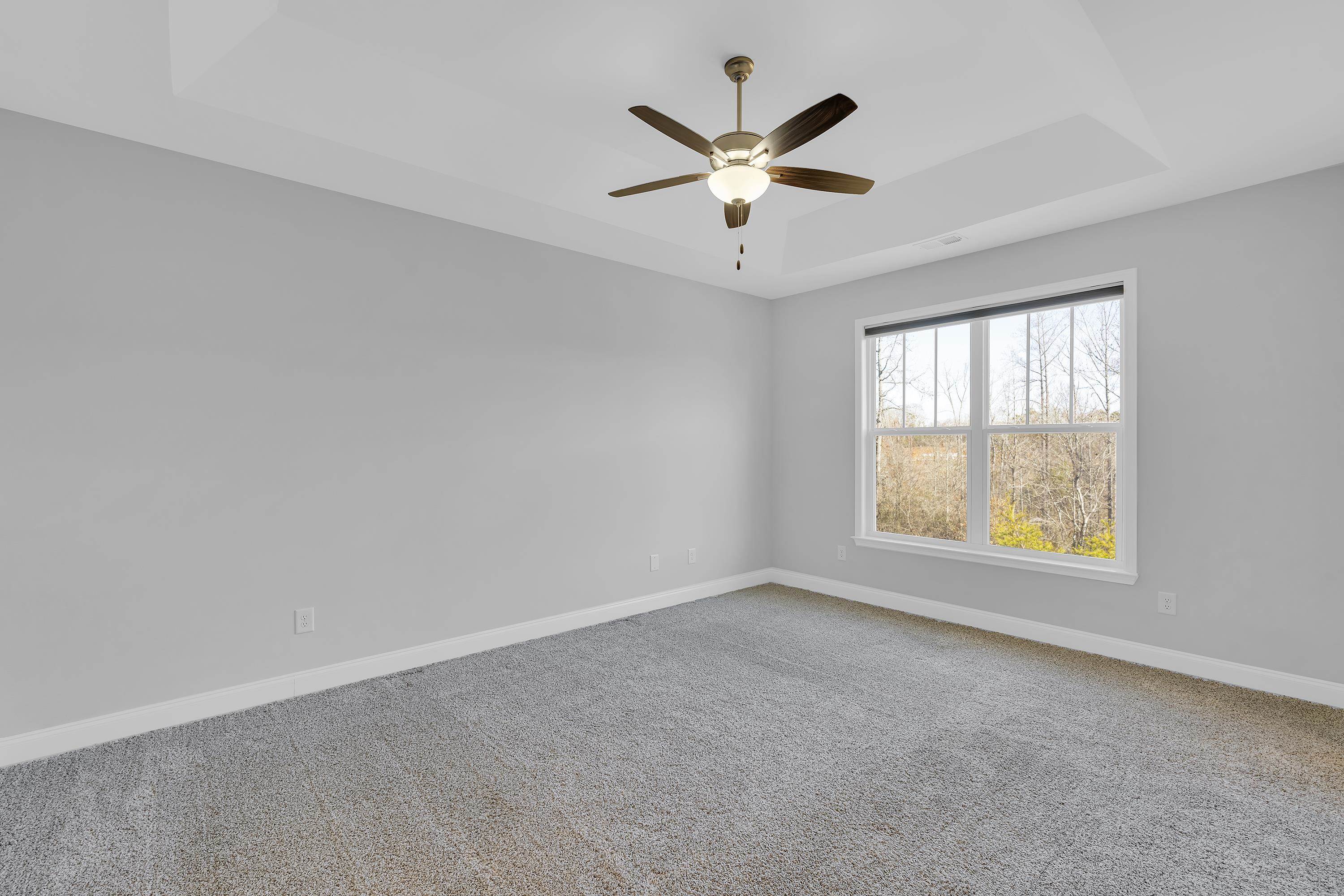 285 Foxbank Circle, Greer, South Carolina image 10