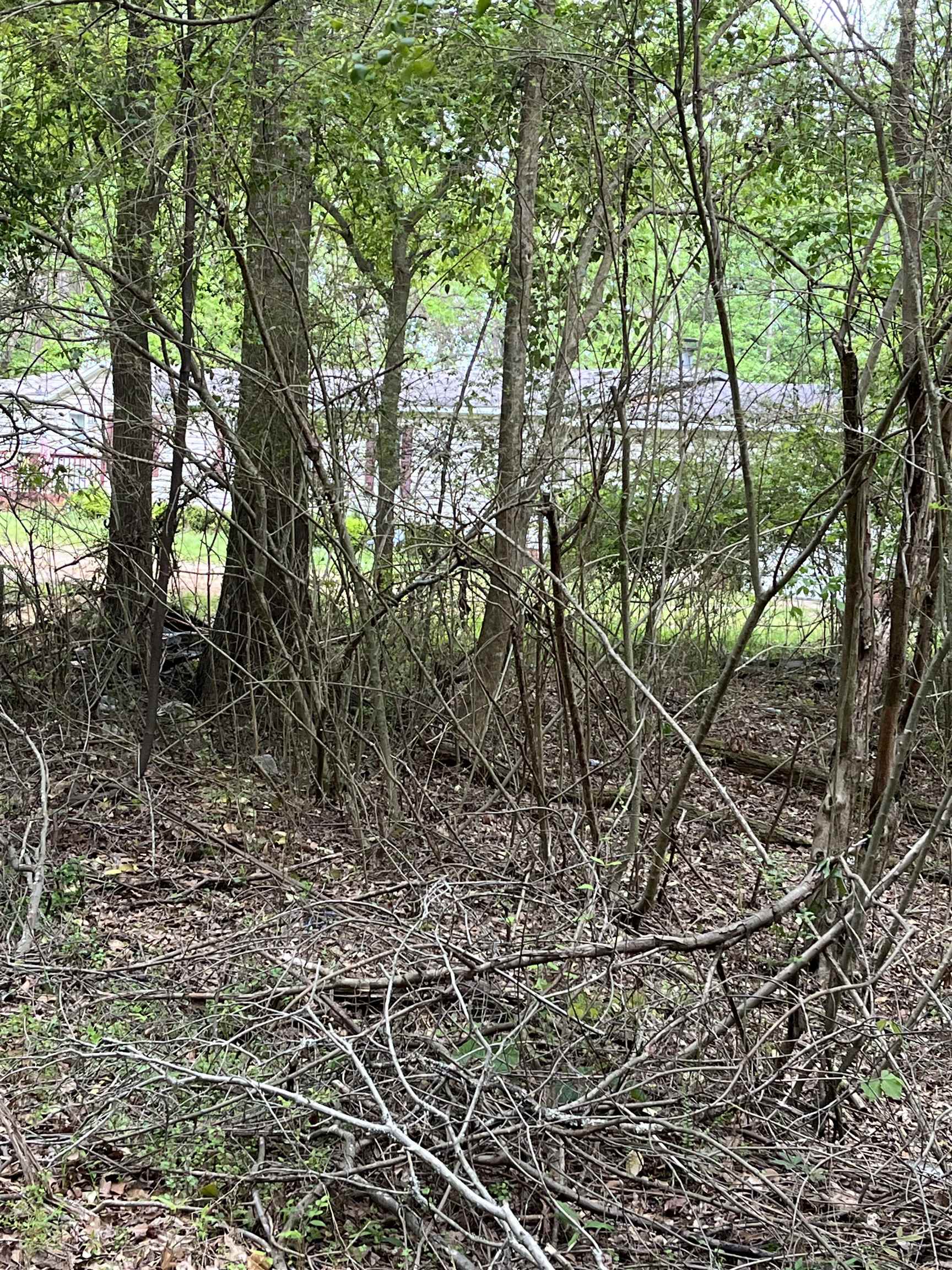 Plainview Drive, Spartanburg, South Carolina image 7