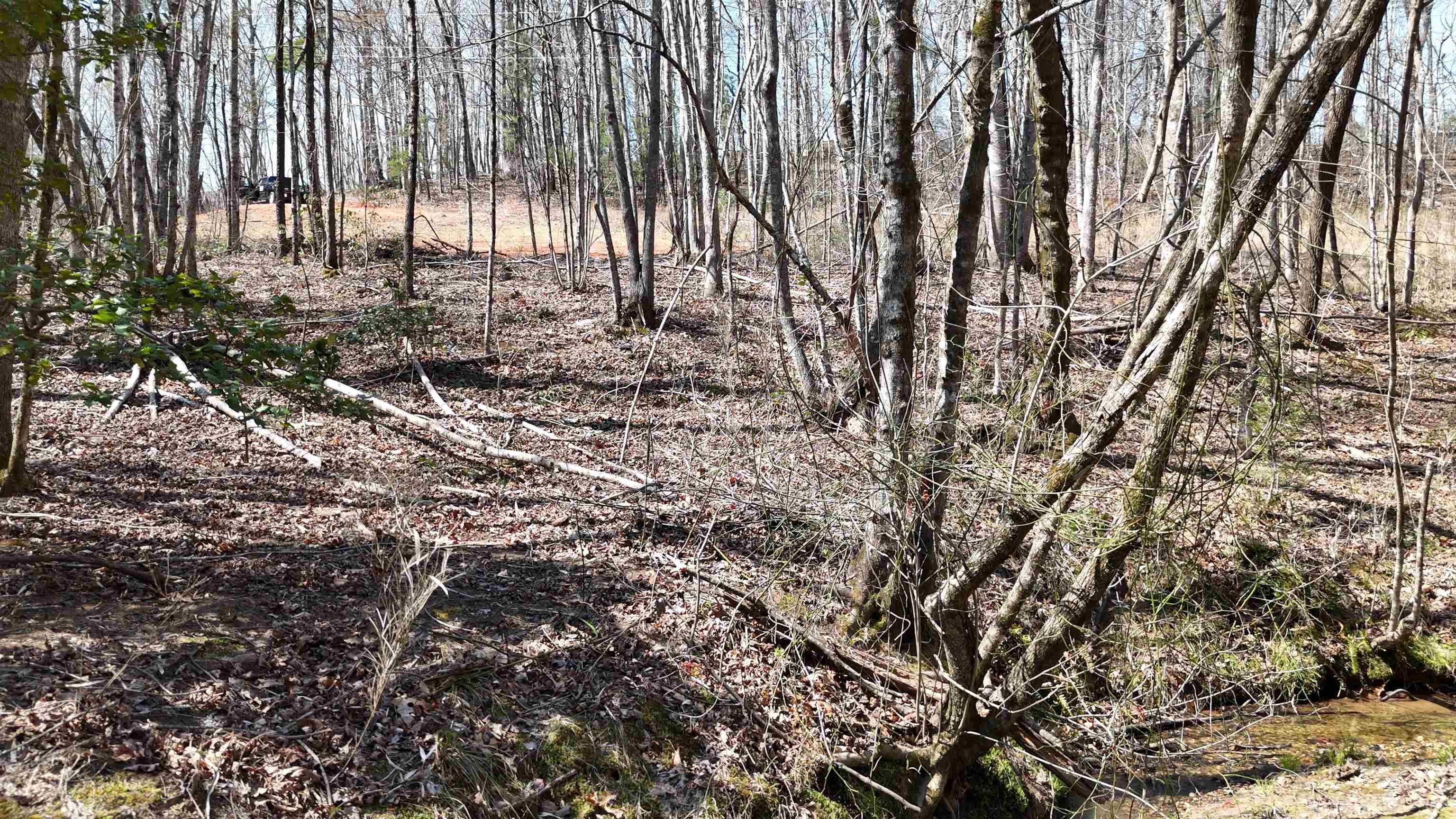 19.75 Acres King Stepp Road, Columbus, North Carolina image 10