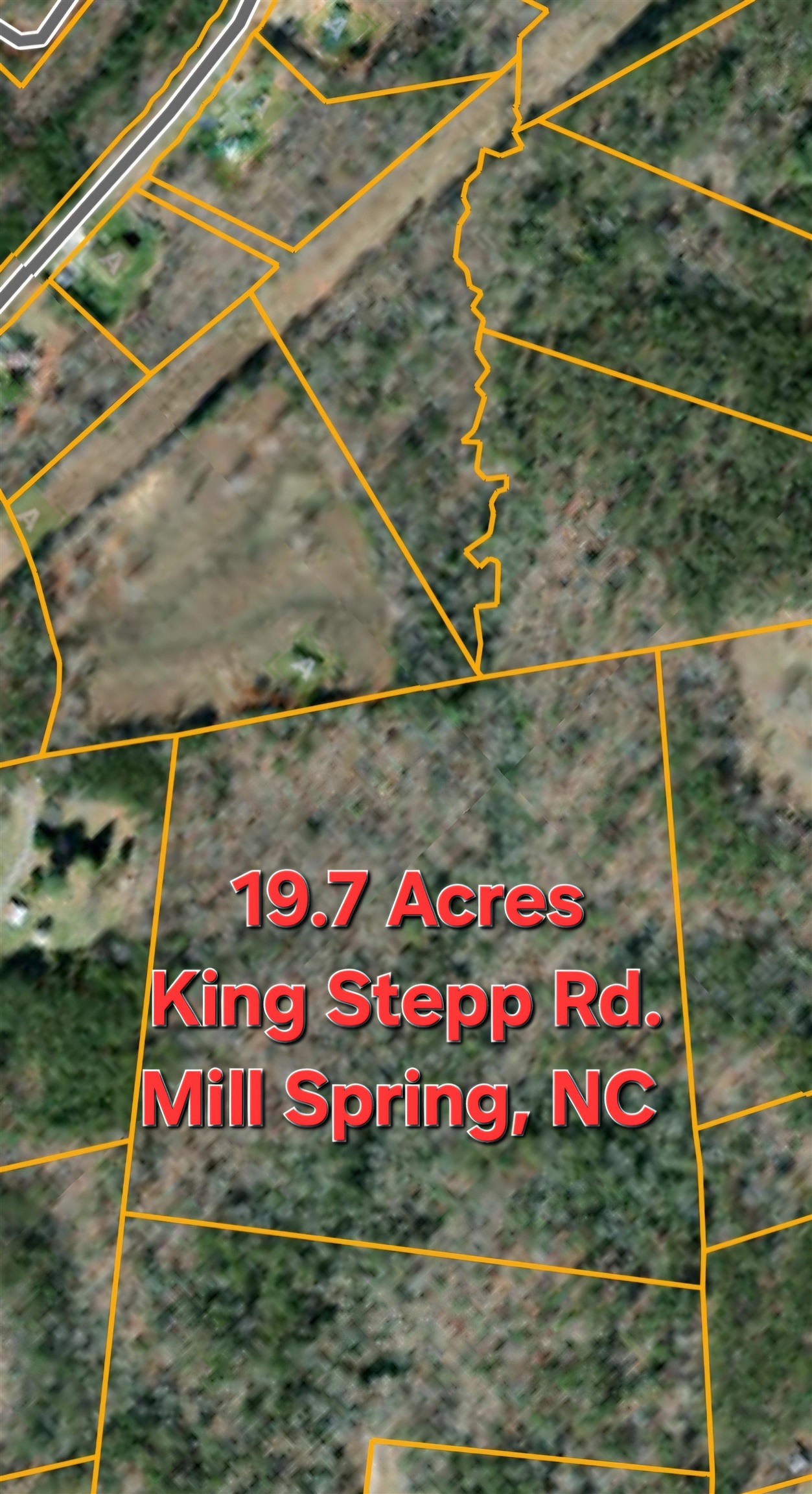 19.75 Acres King Stepp Road, Columbus, North Carolina image 22