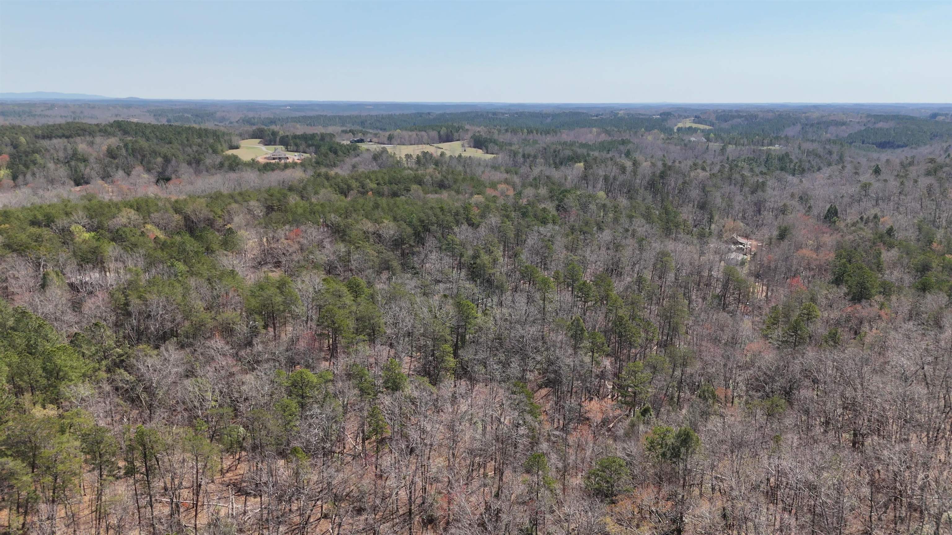 19.75 Acres King Stepp Road, Columbus, North Carolina image 11