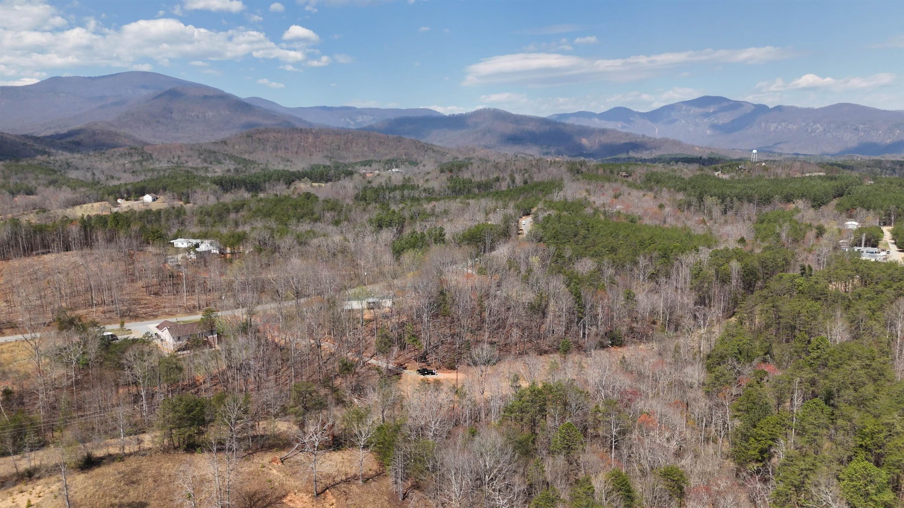 19.75 Acres King Stepp Road, Columbus, North Carolina image 13