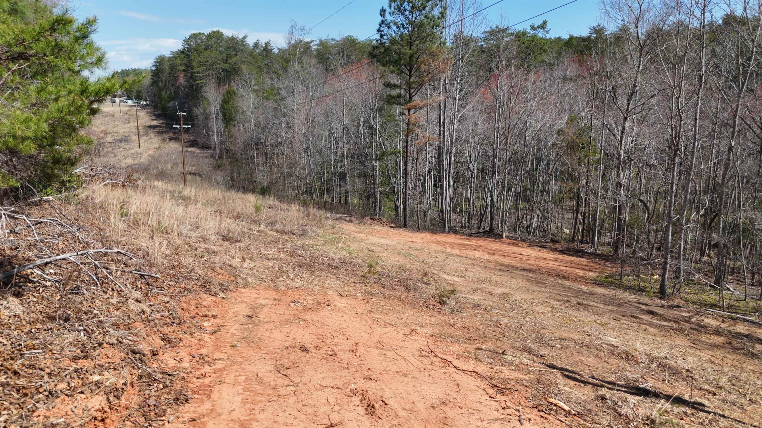 19.75 Acres King Stepp Road, Columbus, North Carolina image 5