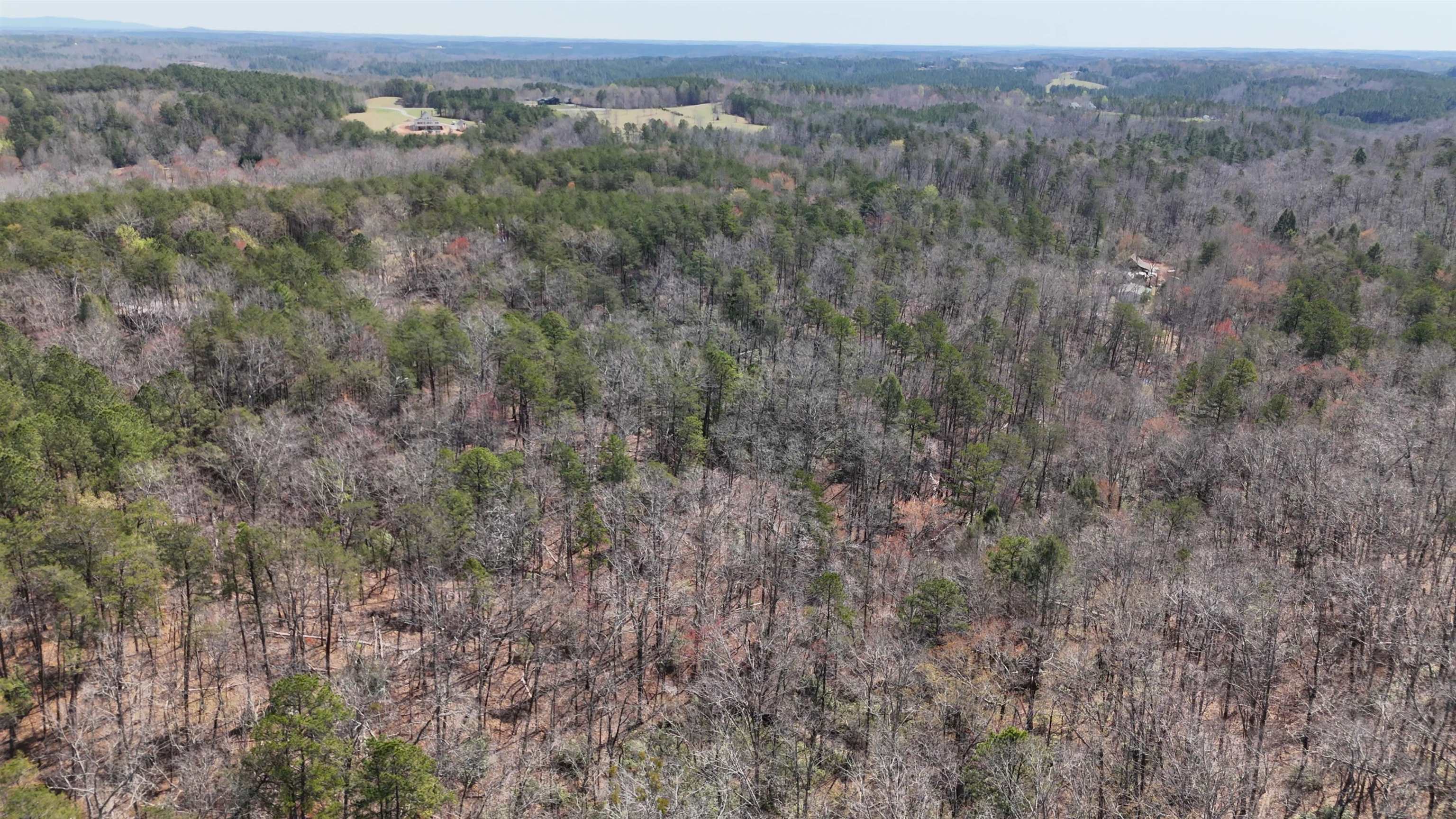 19.75 Acres King Stepp Road, Columbus, North Carolina image 12