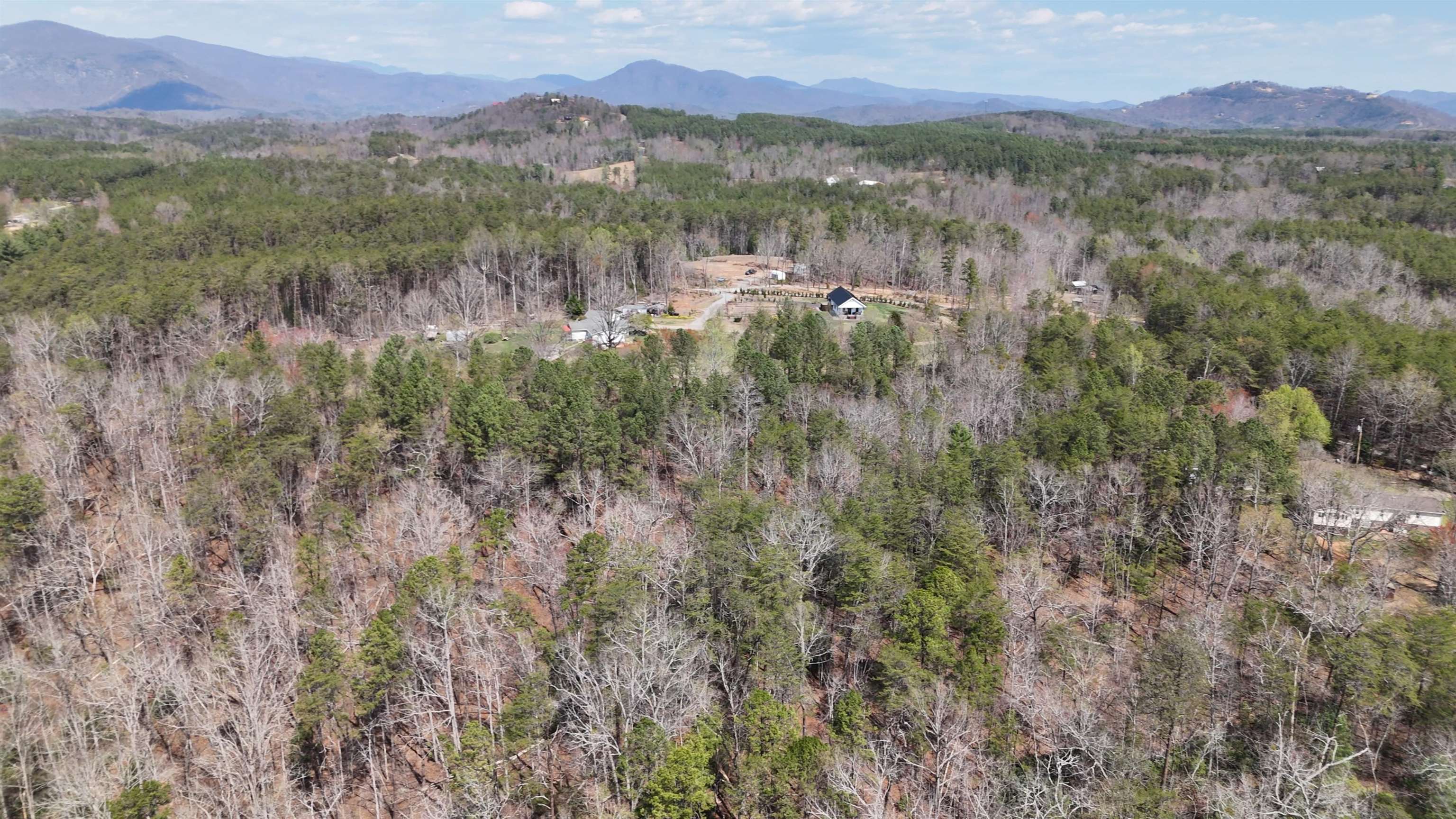19.75 Acres King Stepp Road, Columbus, North Carolina image 4