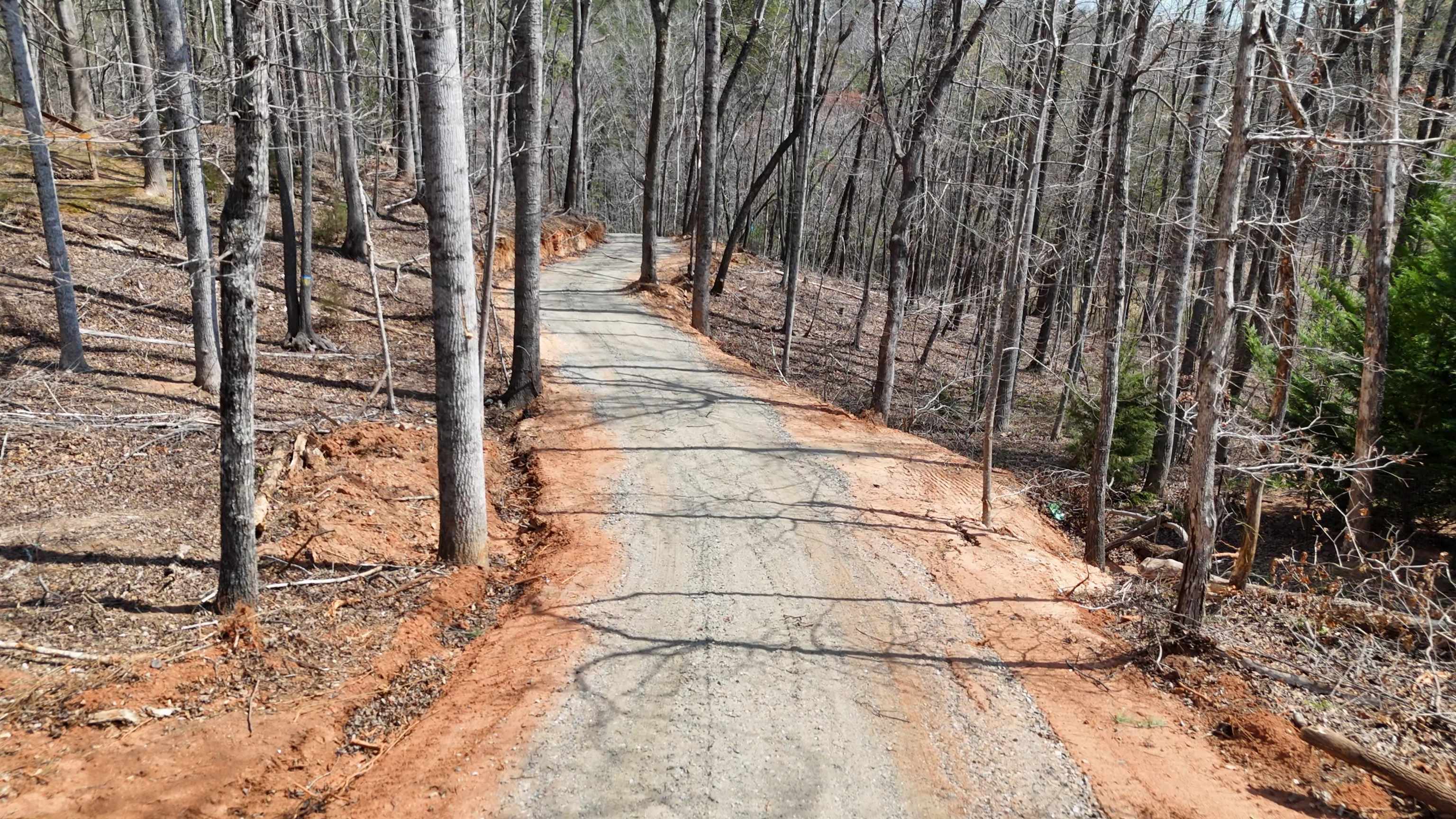 19.75 Acres King Stepp Road, Columbus, North Carolina image 2