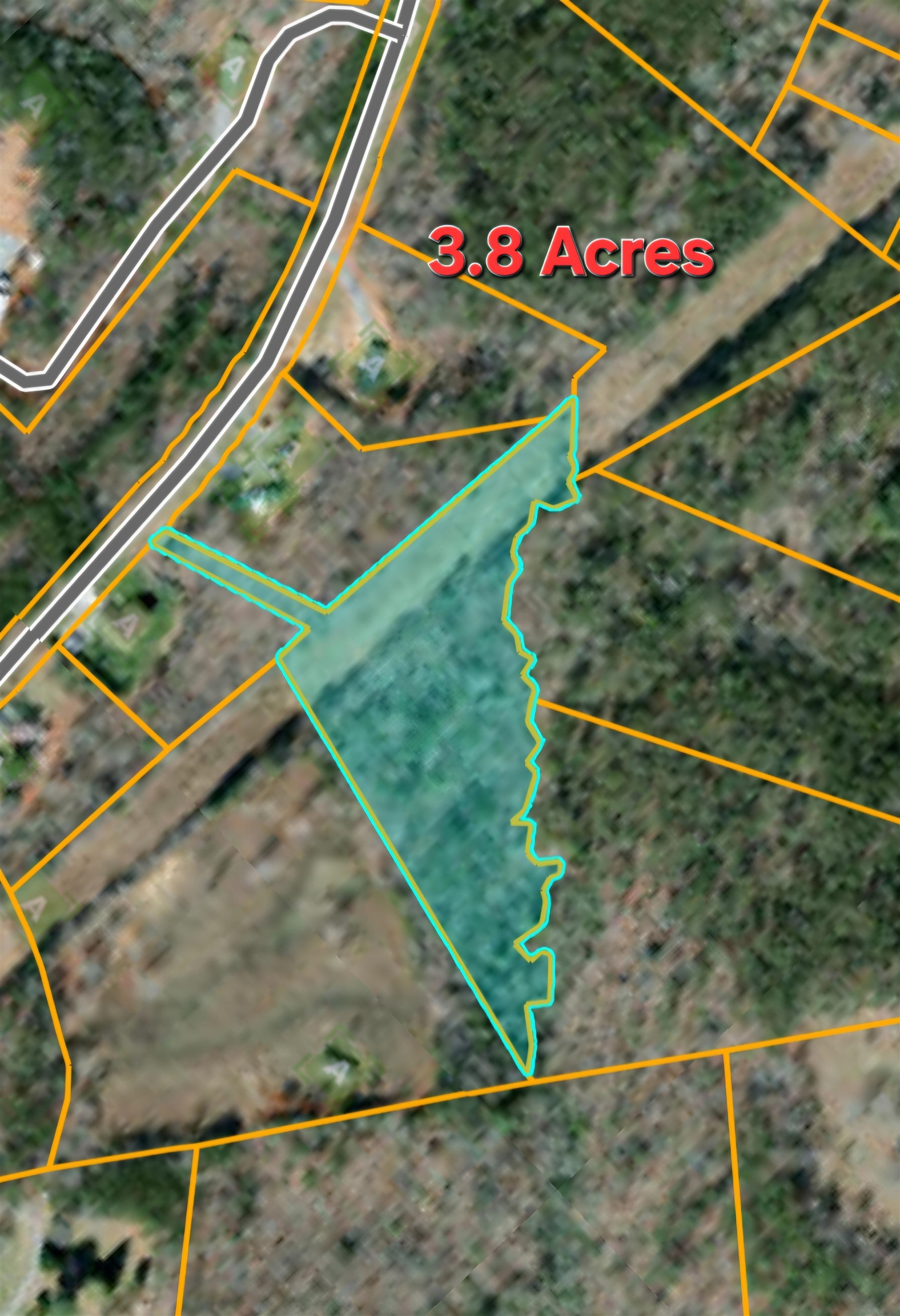19.75 Acres King Stepp Road, Columbus, North Carolina image 20