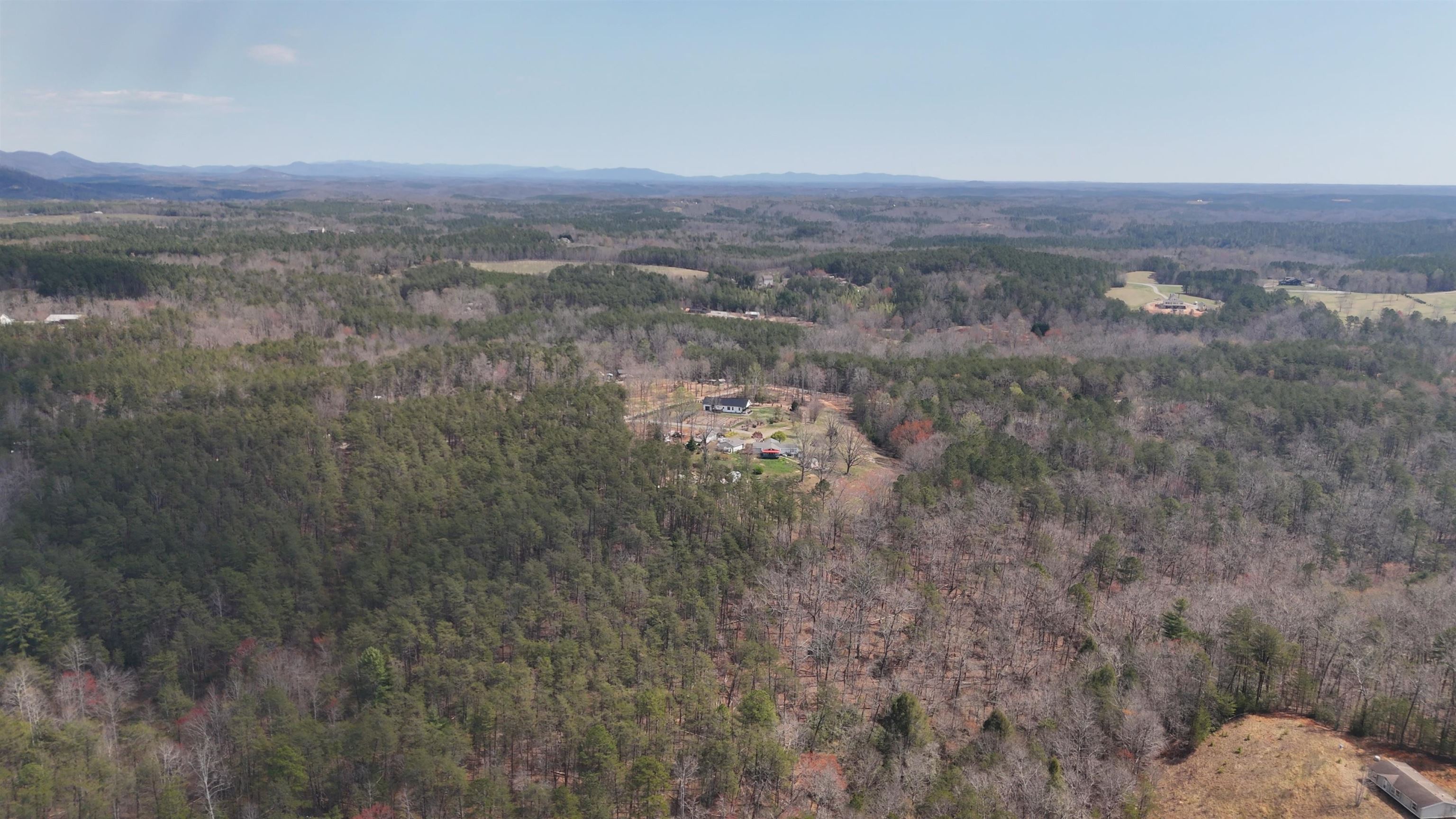 19.75 Acres King Stepp Road, Columbus, North Carolina image 14