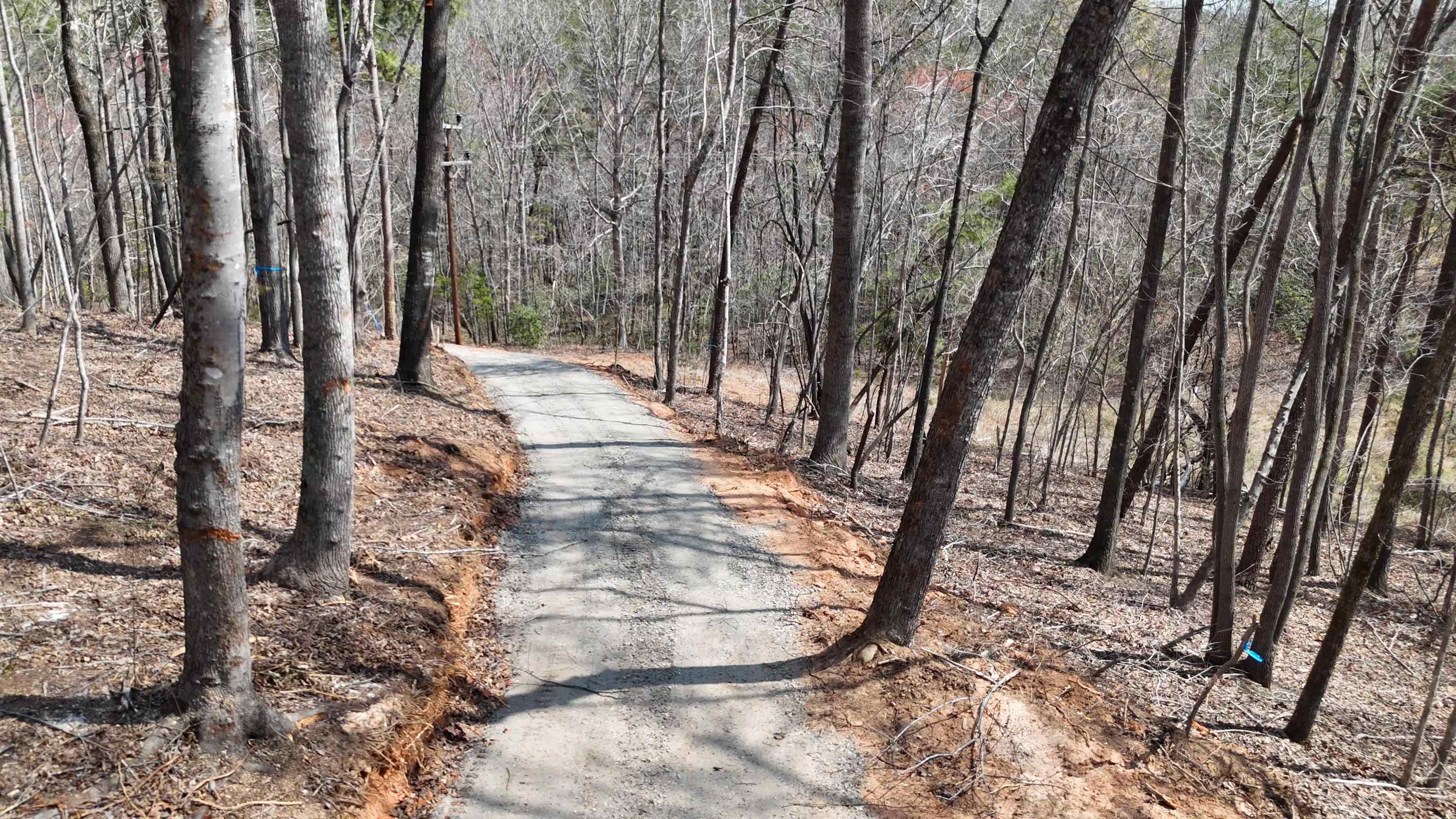 19.75 Acres King Stepp Road, Columbus, North Carolina image 7