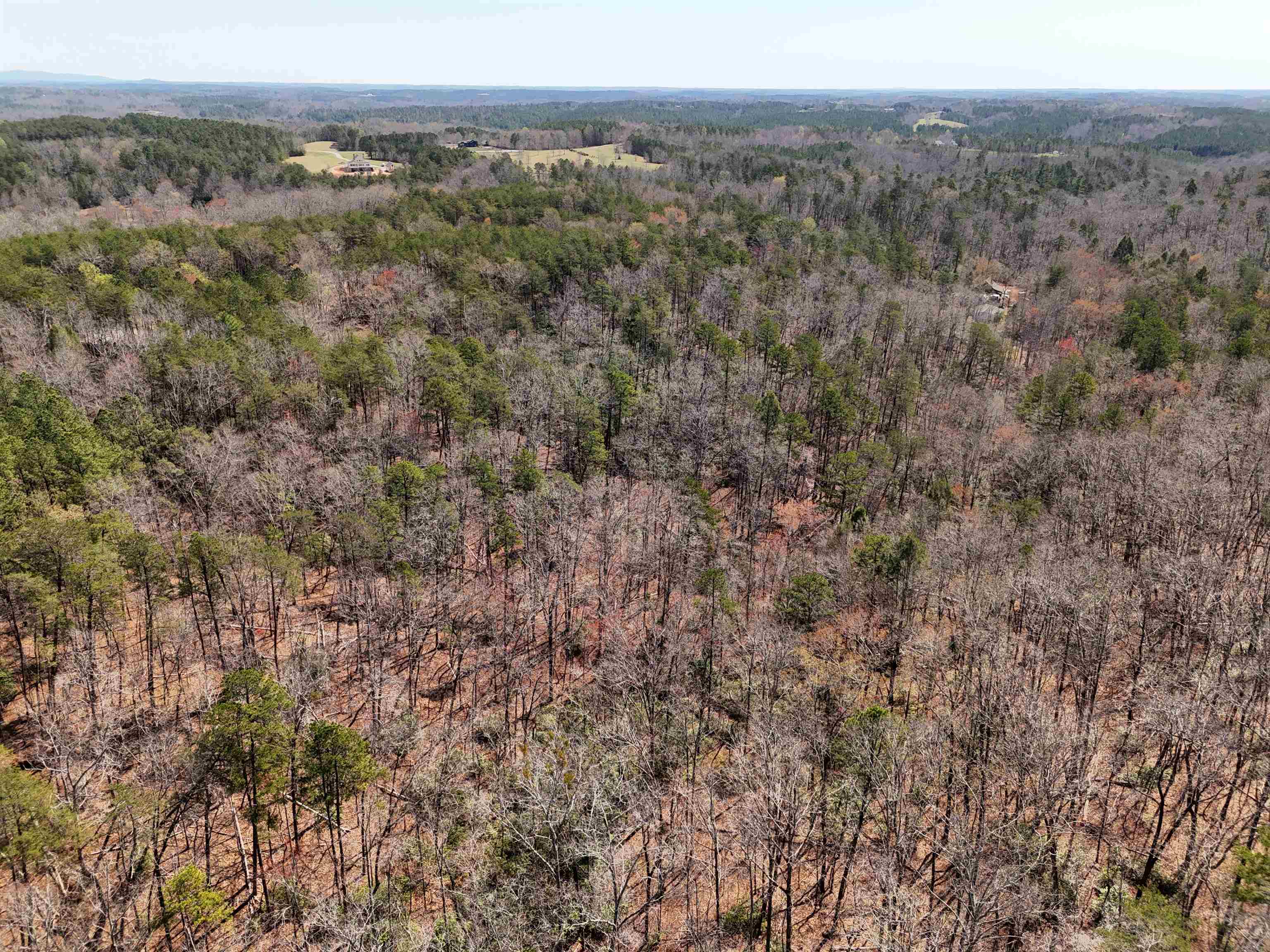 19.75 Acres King Stepp Road, Columbus, North Carolina image 16