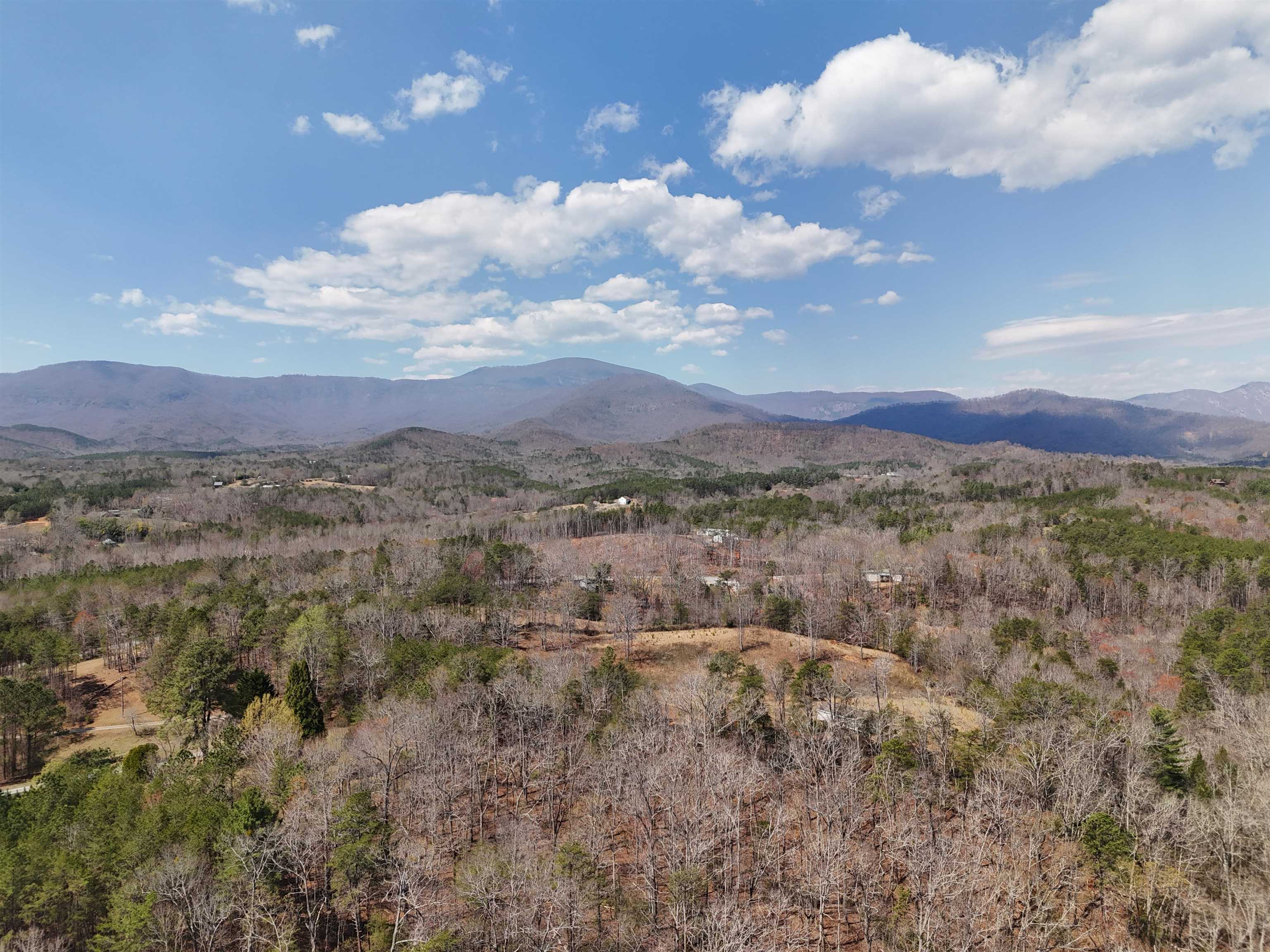 19.75 Acres King Stepp Road, Columbus, North Carolina image 15