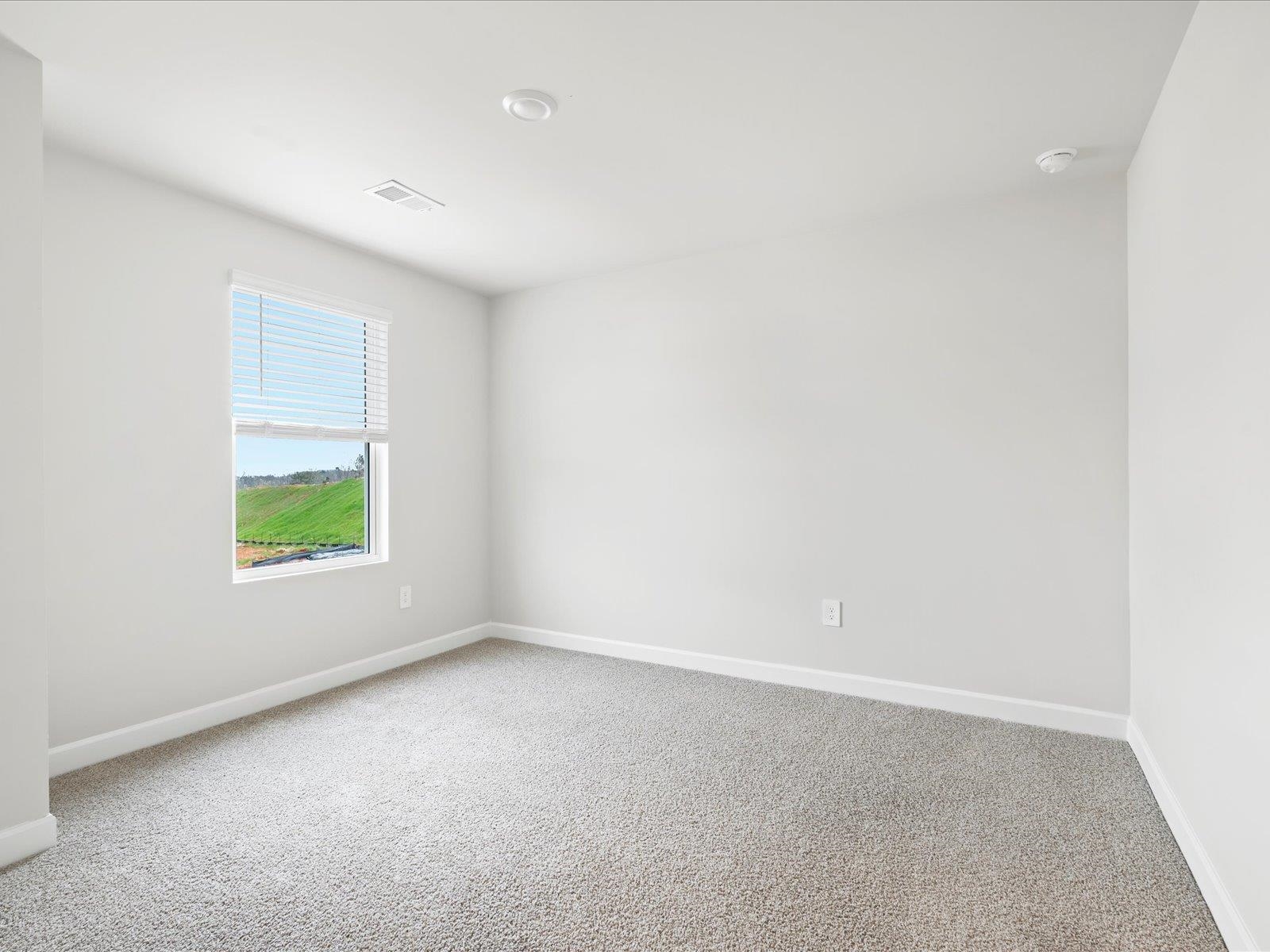 601 Spruce Pine Drive, Pendleton, South Carolina image 29