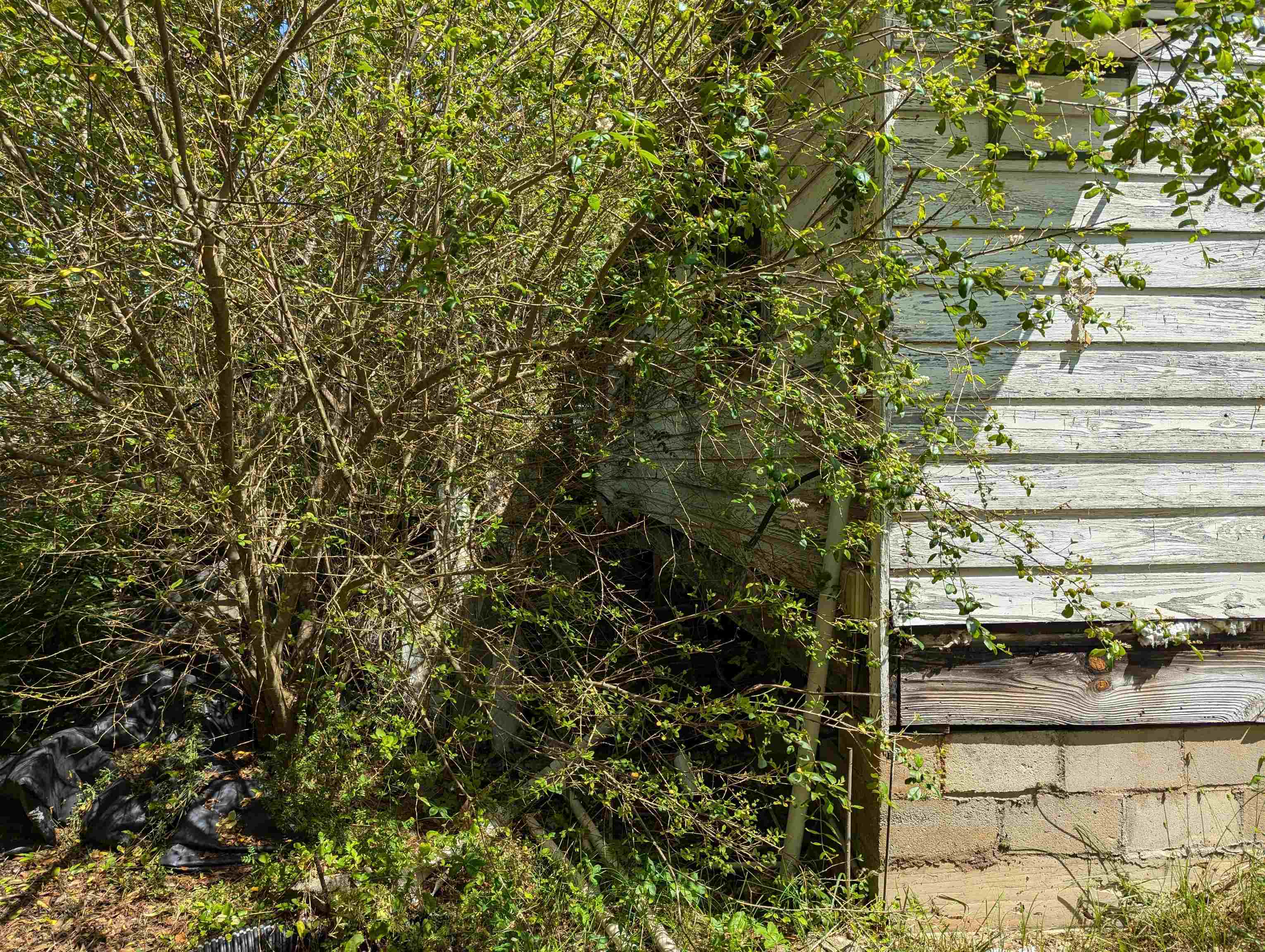 110 2nd Street, Cowpens, South Carolina image 6