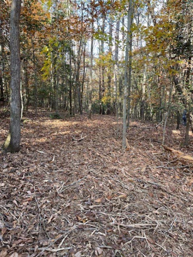 0 (LOT 3) Catalan Court, Fountain Inn, South Carolina image 12