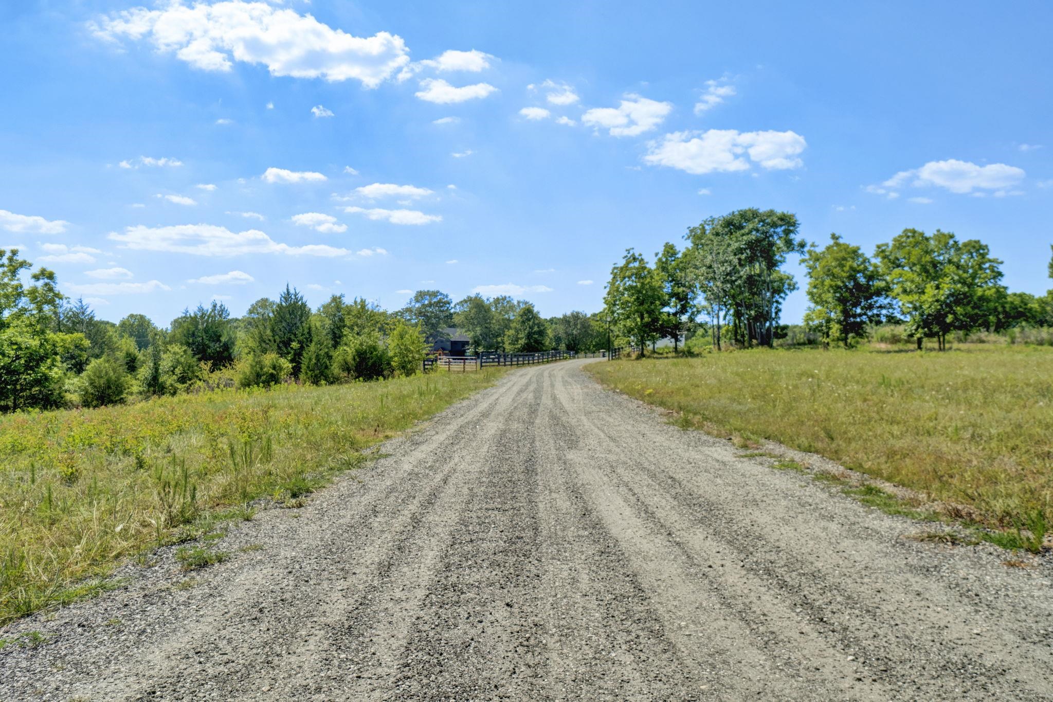 0 (LOT 3) Catalan Court, Fountain Inn, South Carolina image 9