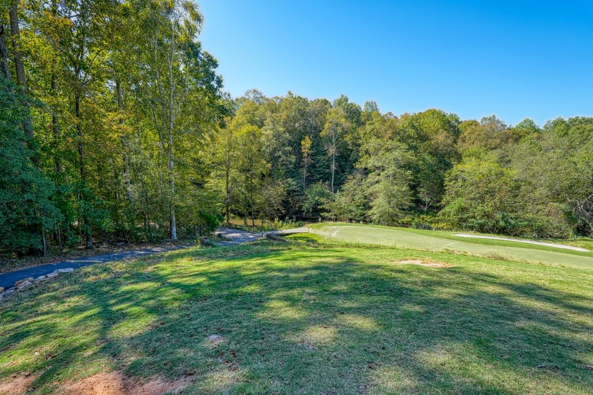 749 W Tara Lane, Duncan, South Carolina image 6