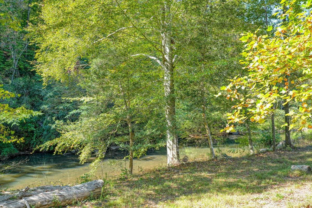 749 W Tara Lane, Duncan, South Carolina image 10