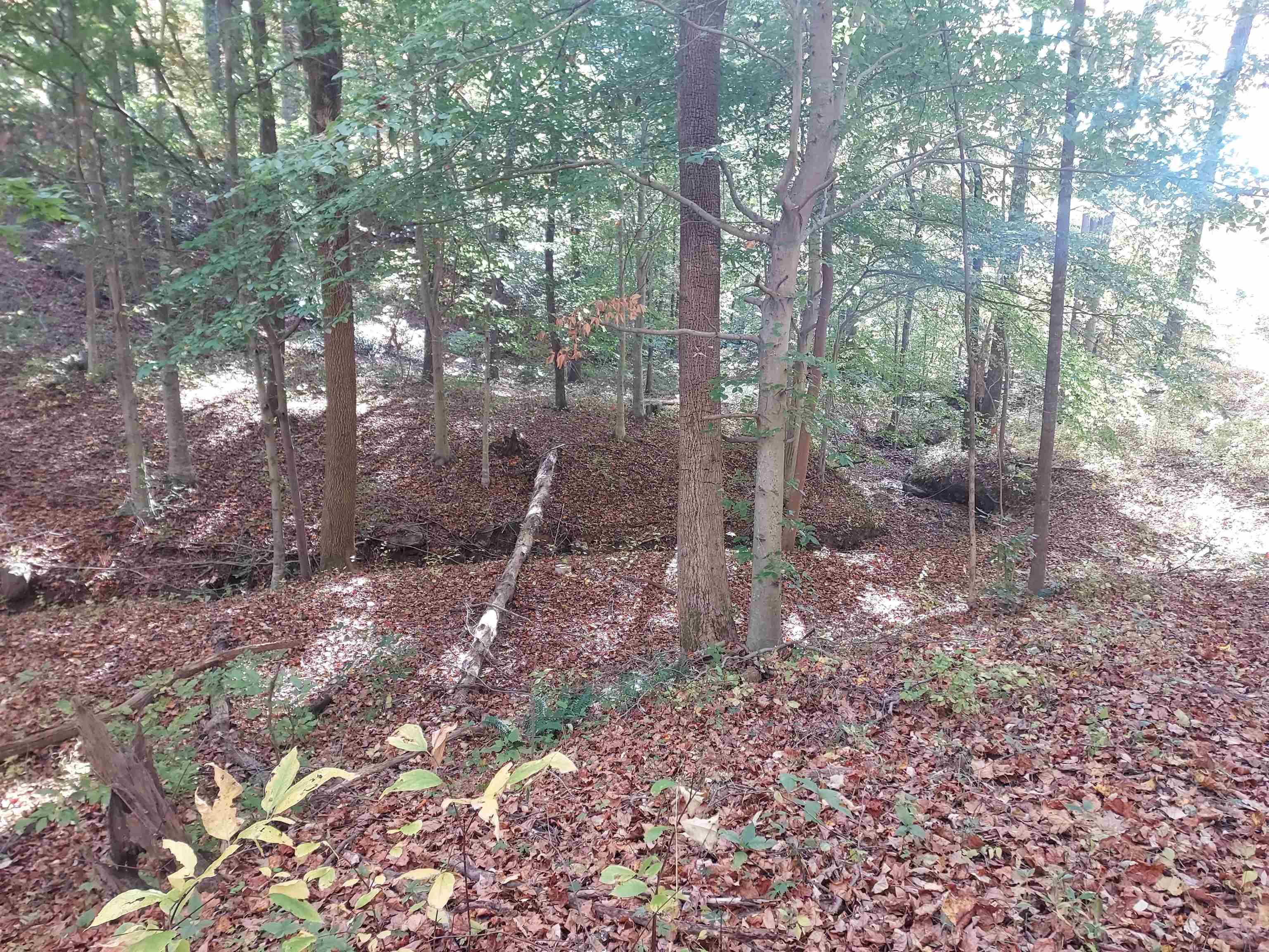 5 Acres Blue Ridge Trail, Columbus, North Carolina image 3