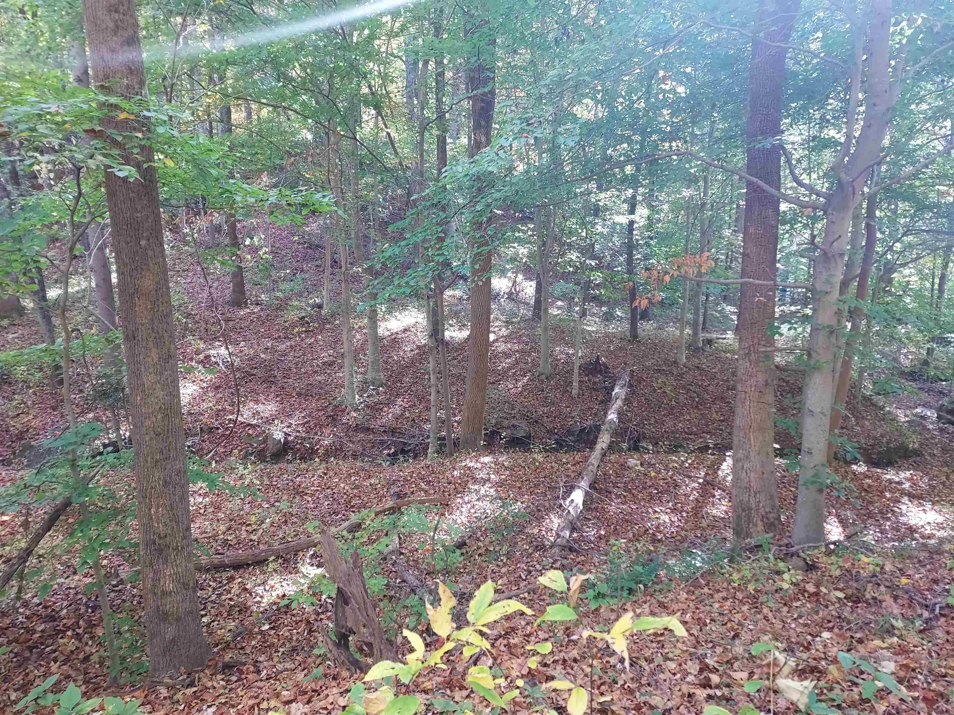 5 Acres Blue Ridge Trail, Columbus, North Carolina image 2