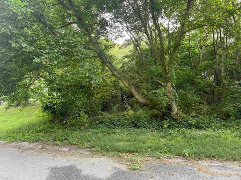 Vacant Land For Sale - Railroad Street<br/> Spartanburg, SC 29306