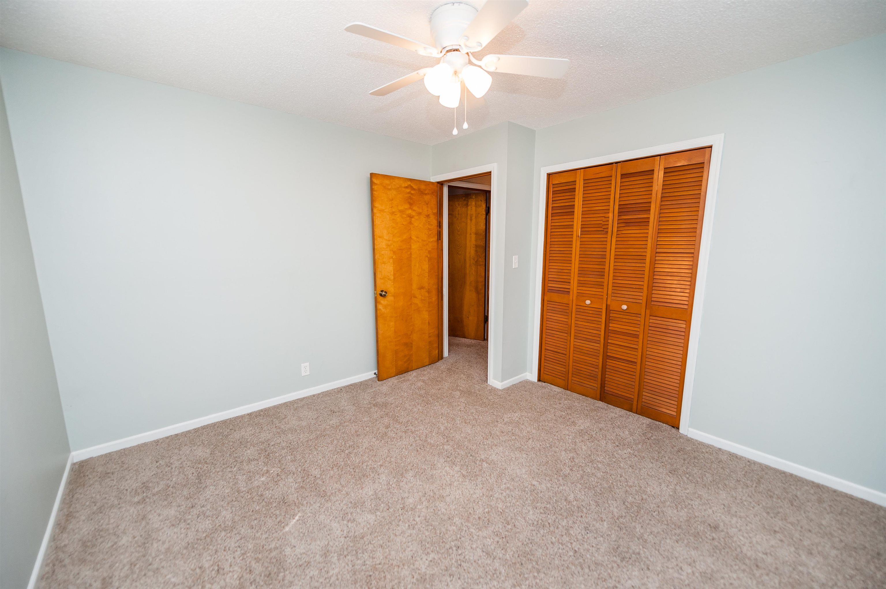 419 Shady Point, Inman, Virginia image 11