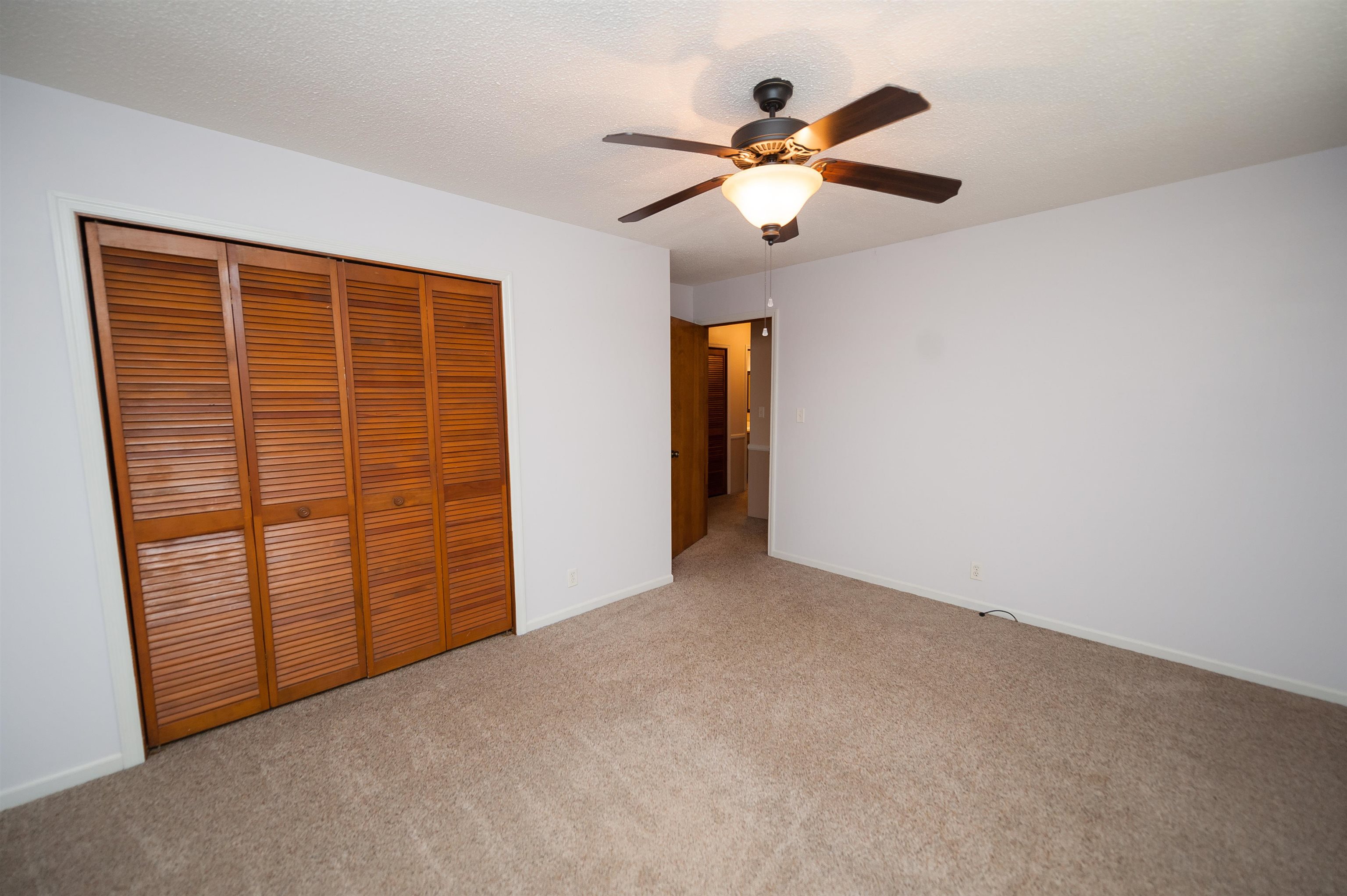 419 Shady Point, Inman, Virginia image 12