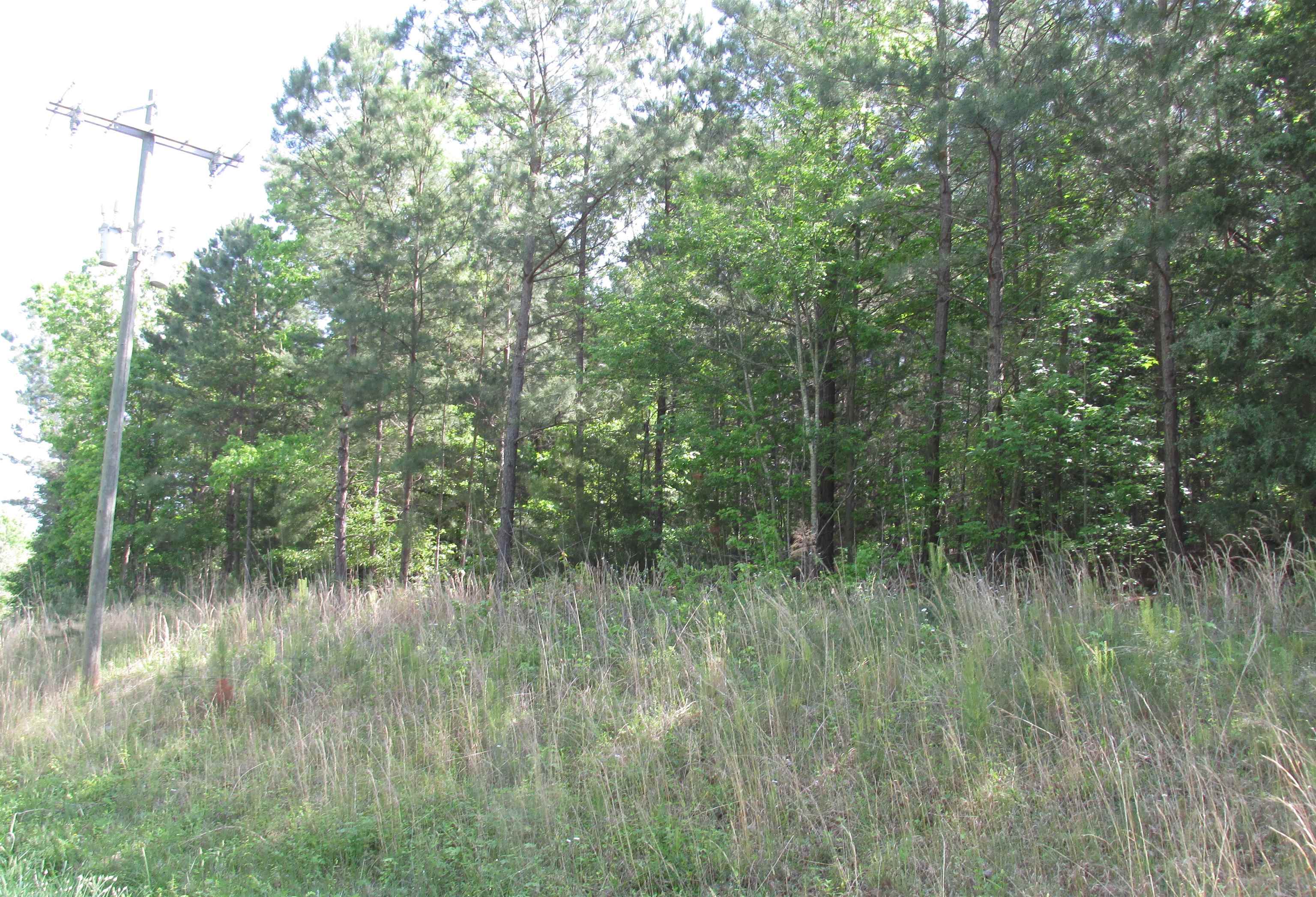 S. Rutherfordton St. Road, Blacksburg, South Carolina image 6