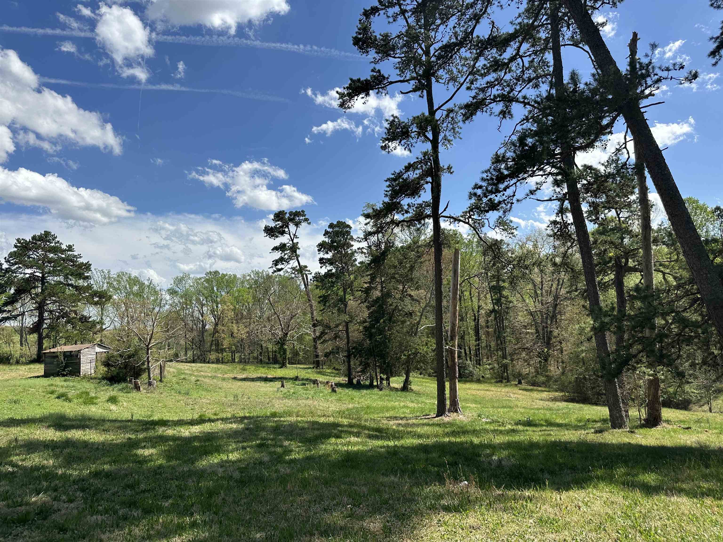 170 Old Highway 11, Inman, South Carolina image 9