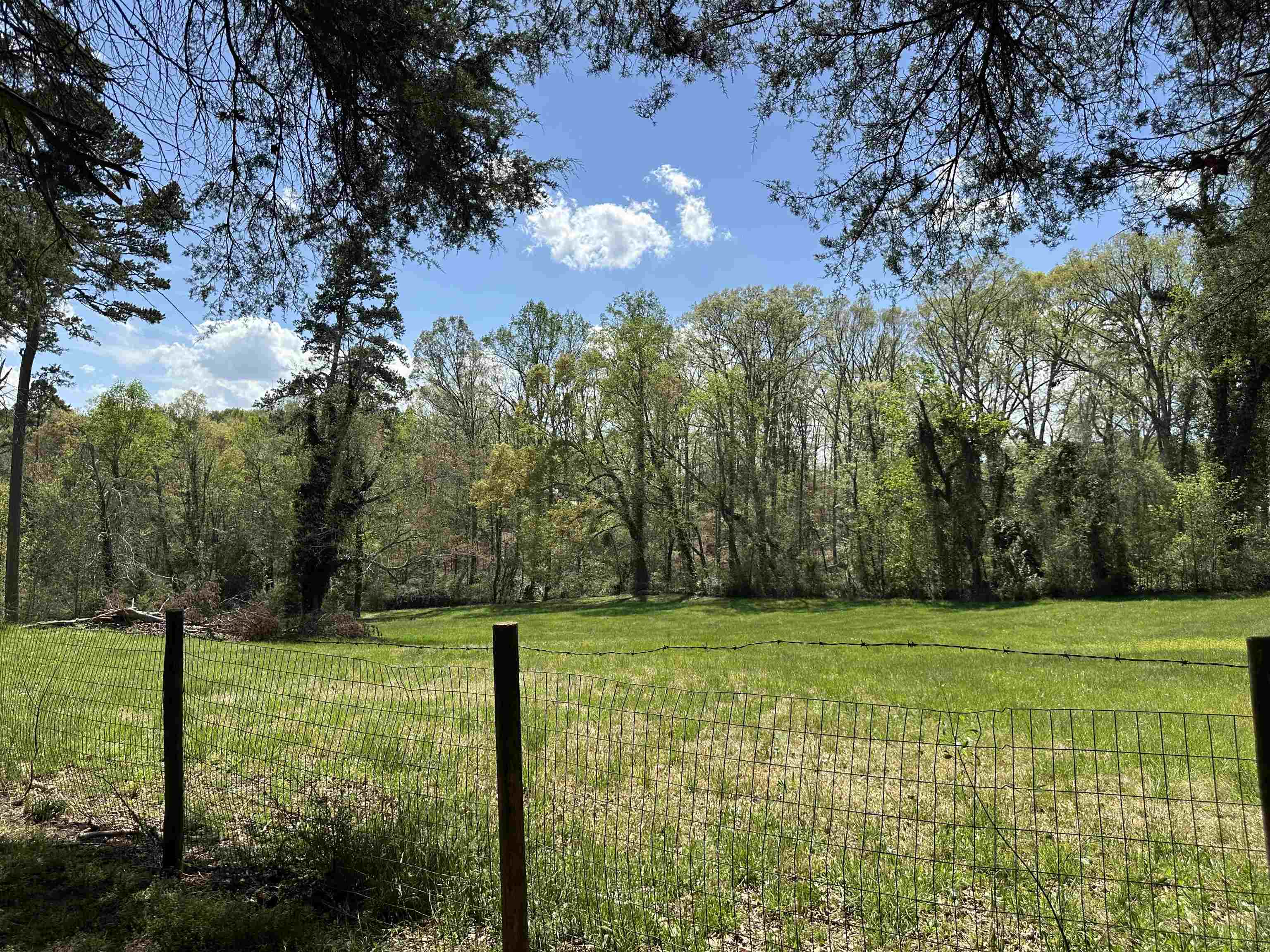 170 Old Highway 11, Inman, South Carolina image 10