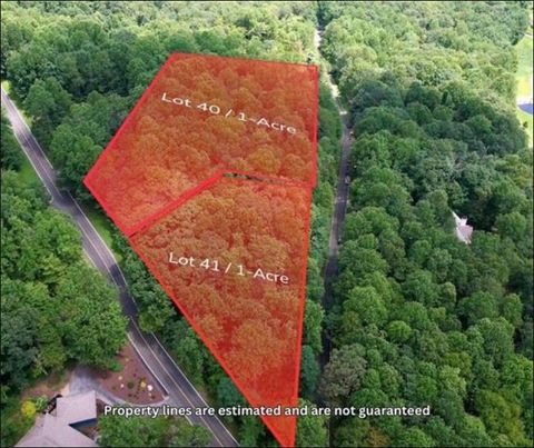 Vacant Land For Sale - LT 41 Snap Dragon Way<br/> Landrum, SC 29356