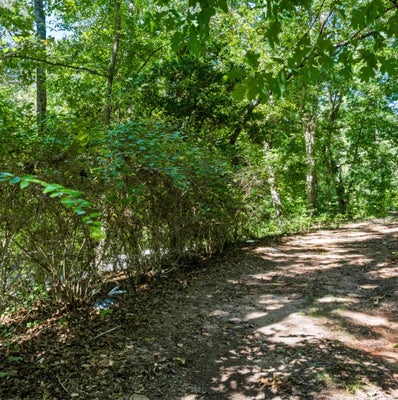 2861 WHITESTONE GLENDALE RD, SPARTANBURG, SC 29302 - Image f1f70c5bcd8e89380ebd7d5c8bb9ac14/703894212
