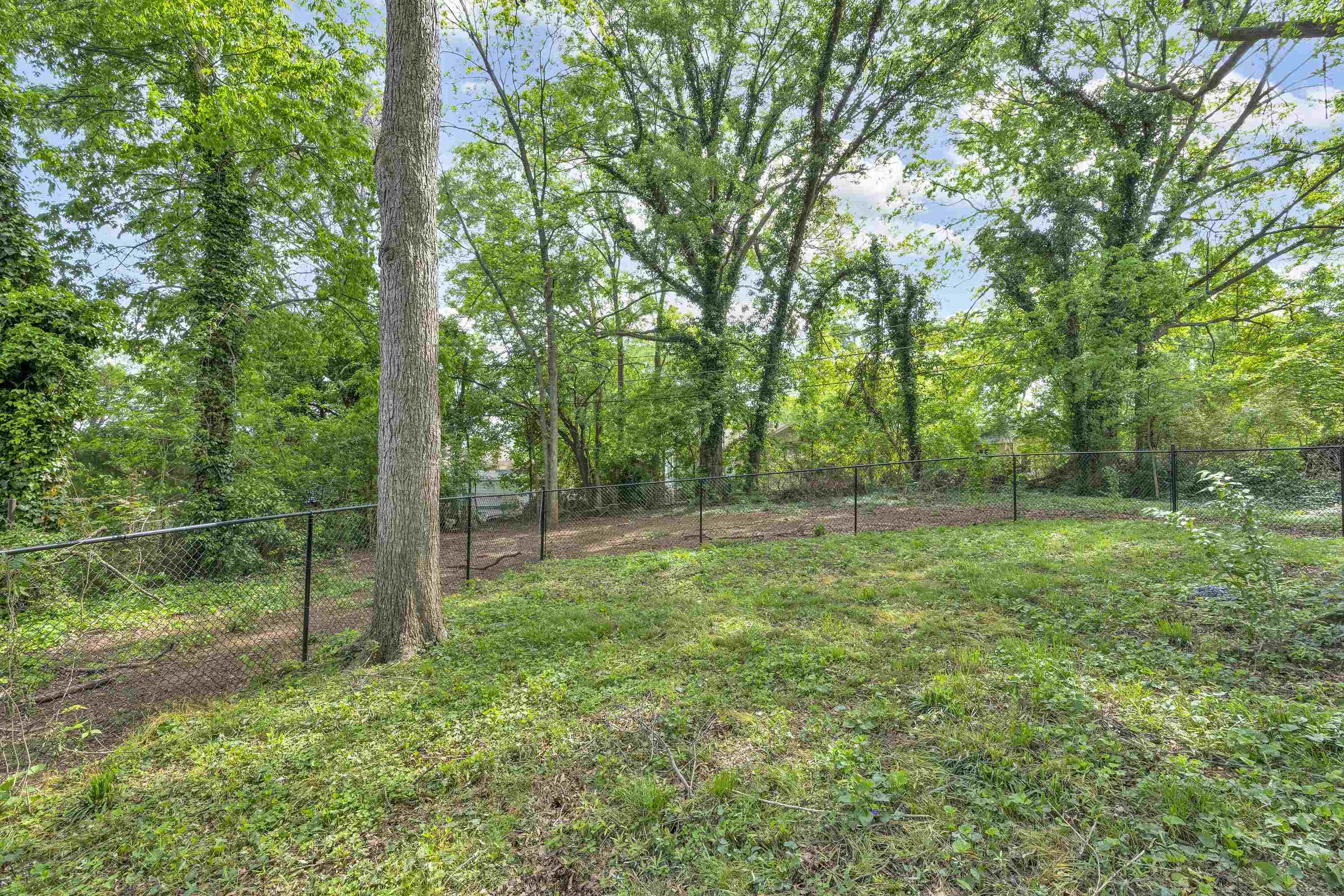 10 Beech Street, Spartanburg, South Carolina image 20