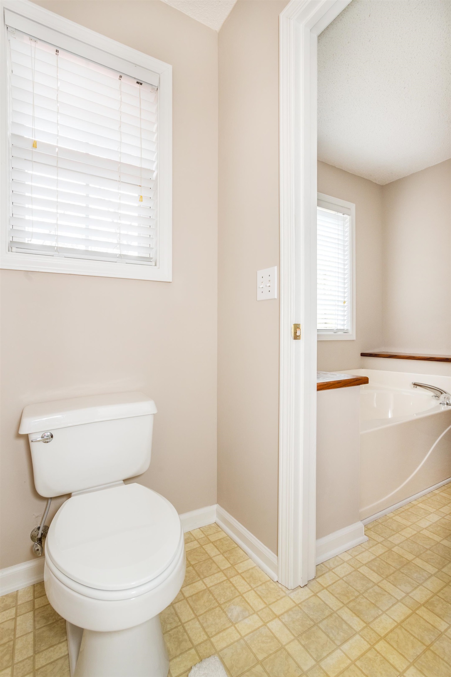 220 Palmetto Circle, Greer, South Carolina image 35