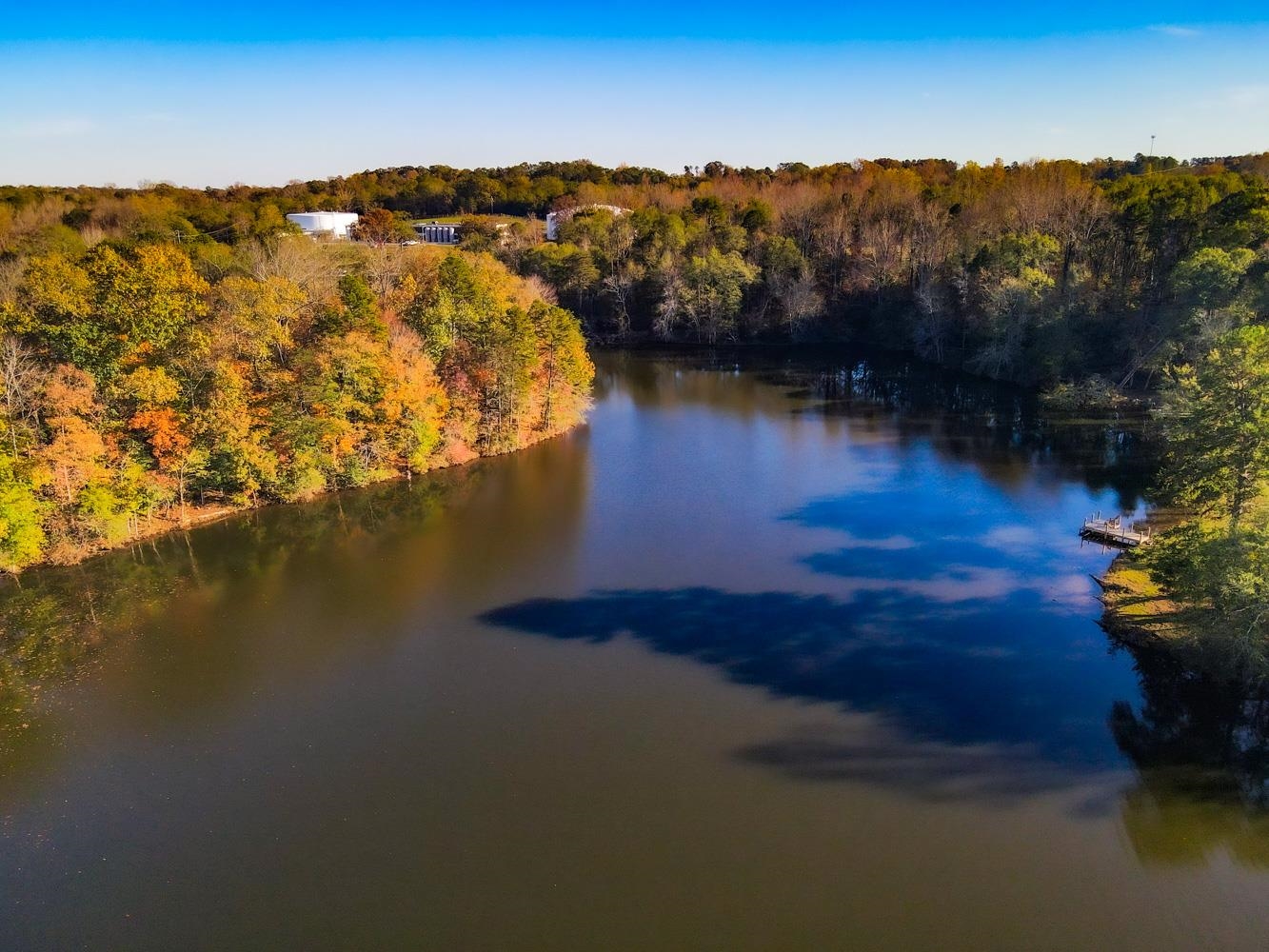 Lake Cunningham Road, Greer, South Carolina image 7