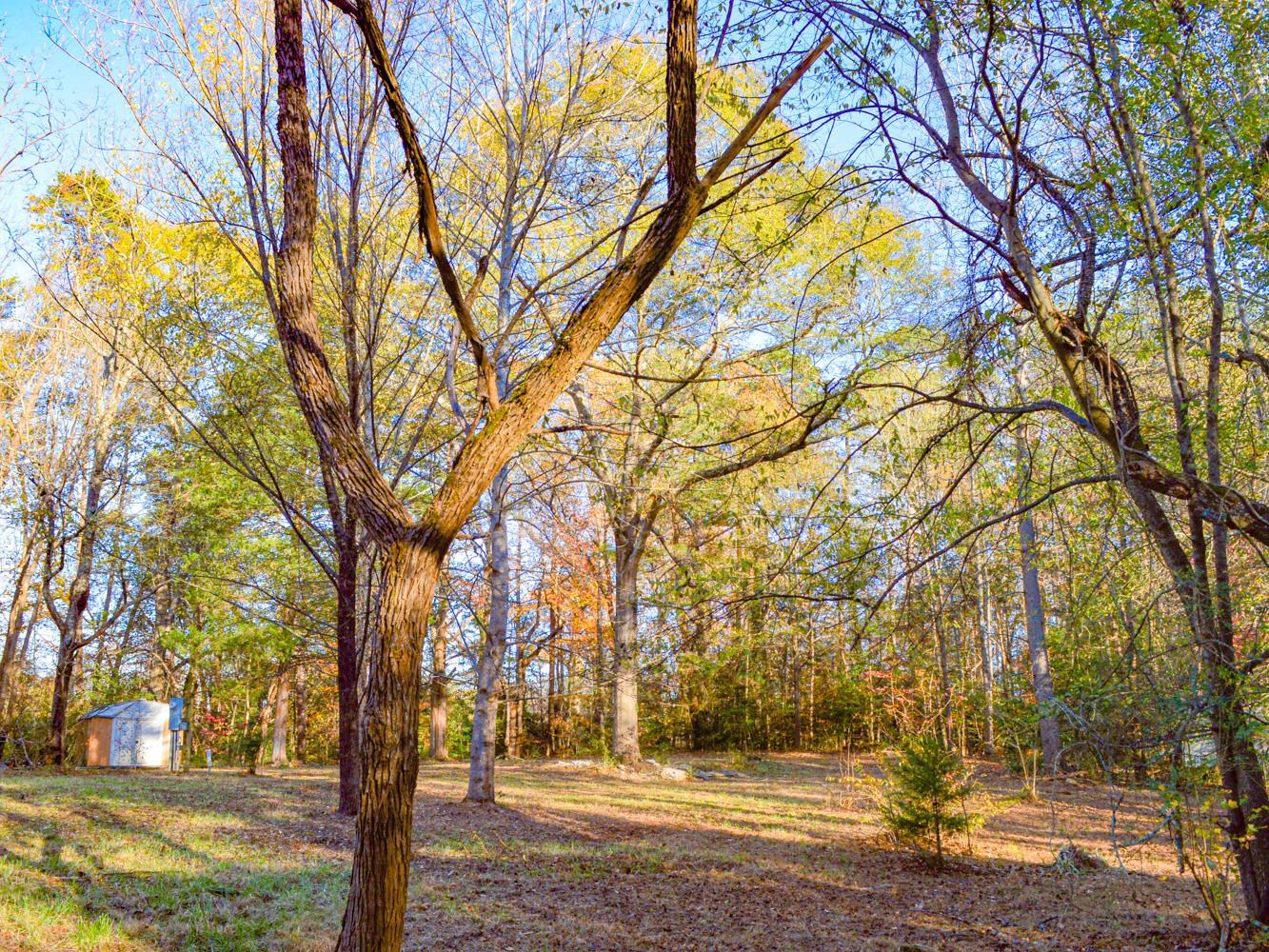 Lake Cunningham Road, Greer, South Carolina image 11